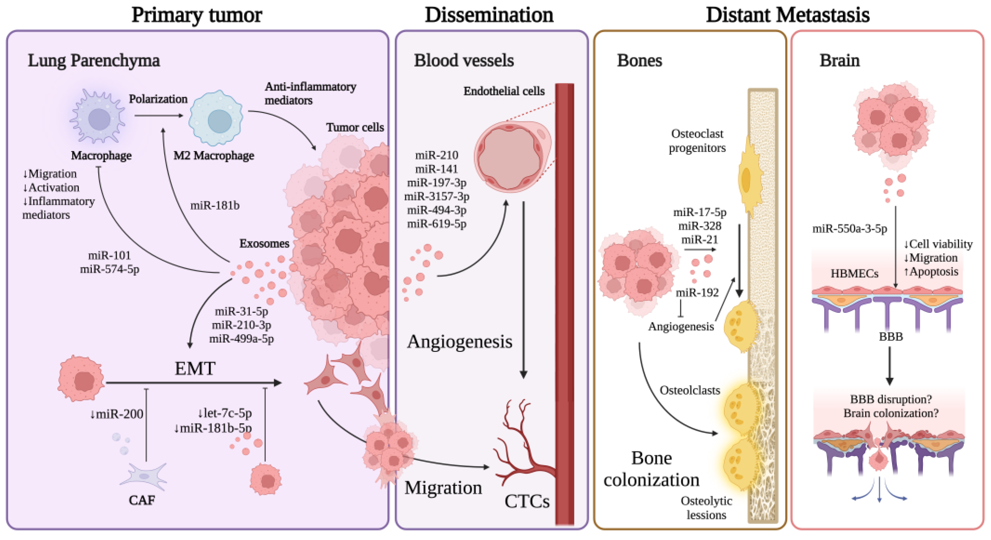 Biomolecules 13 01574 g003