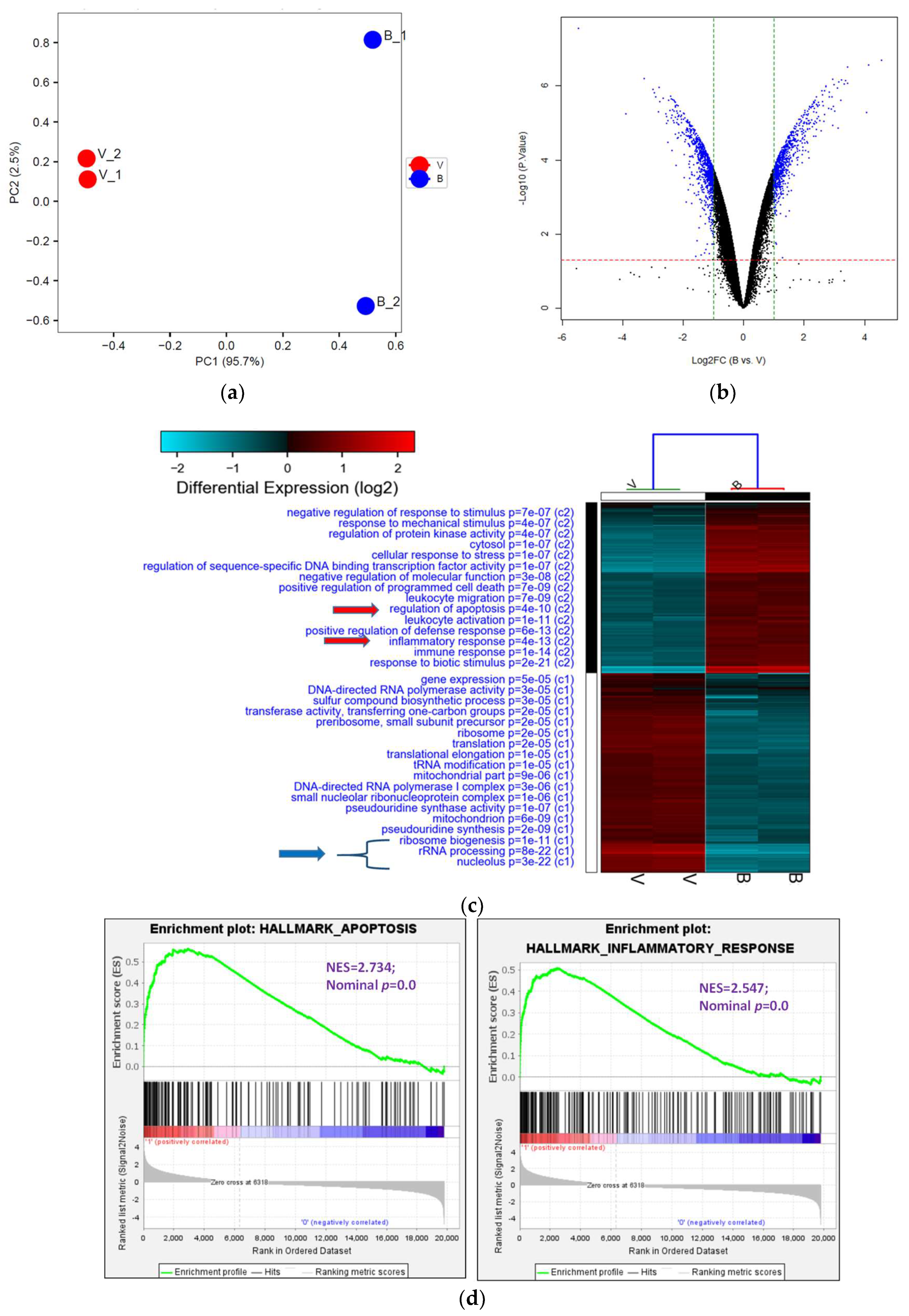 Biomolecules 13 01575 g004a