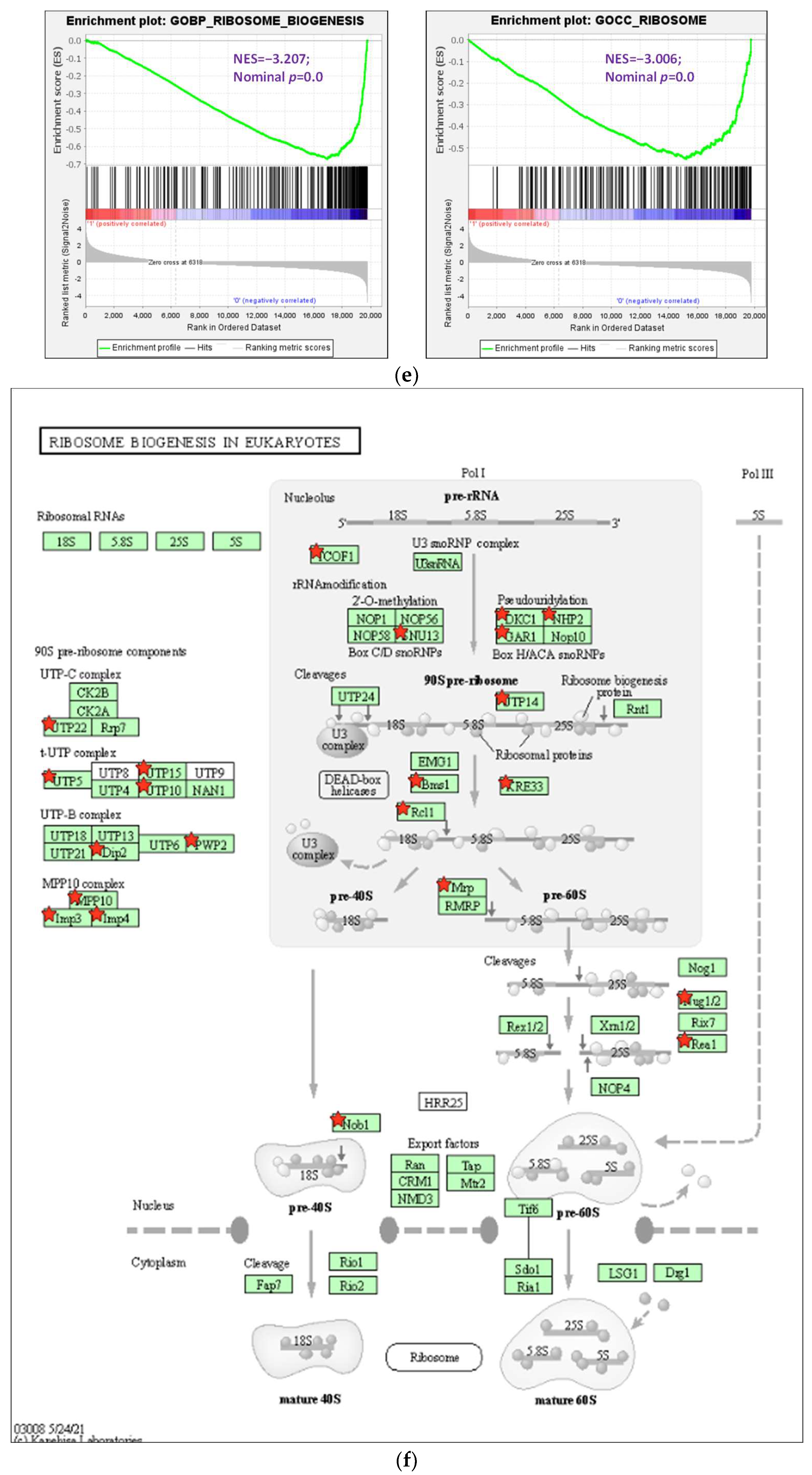 Biomolecules 13 01575 g004b