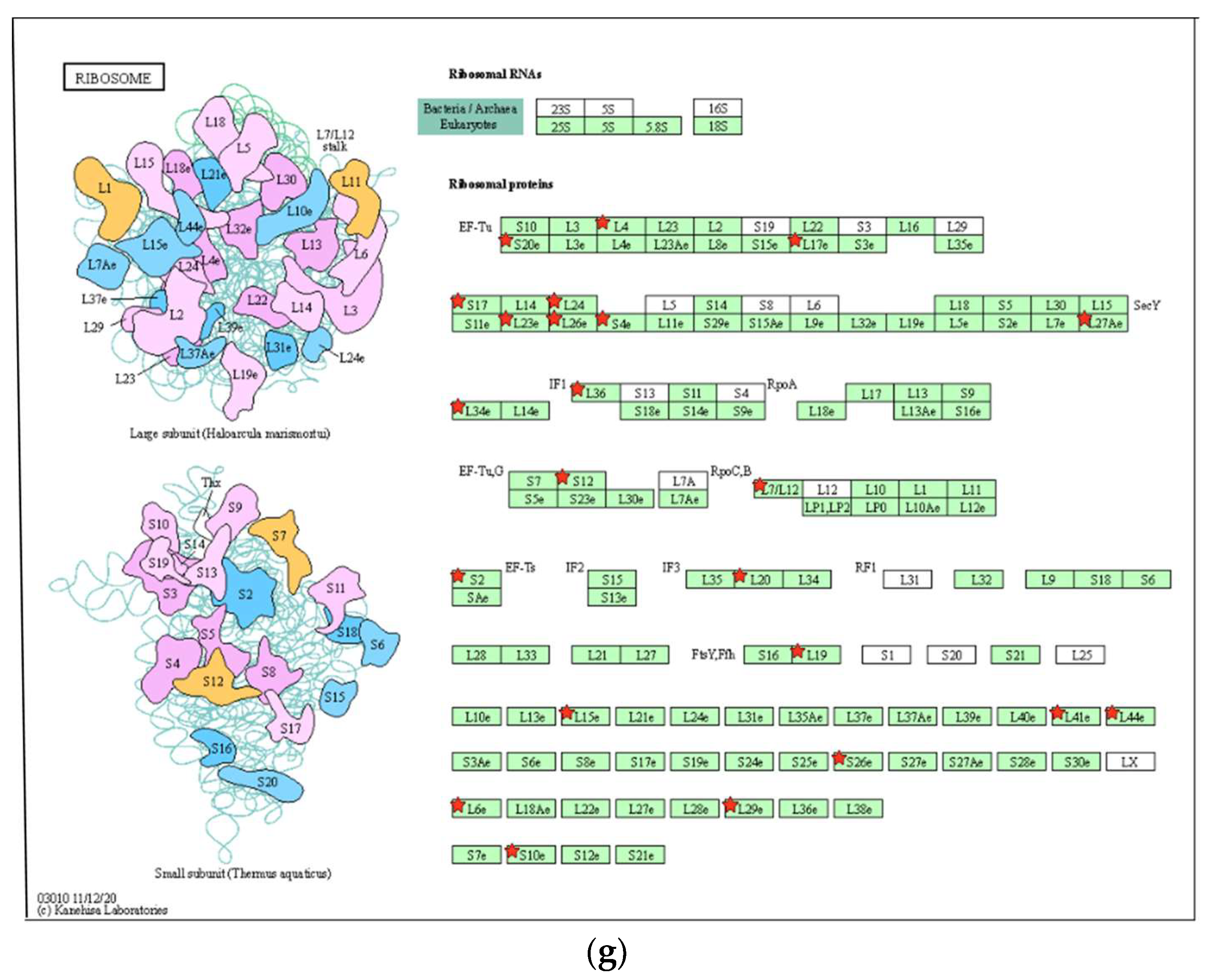 Biomolecules 13 01575 g004c