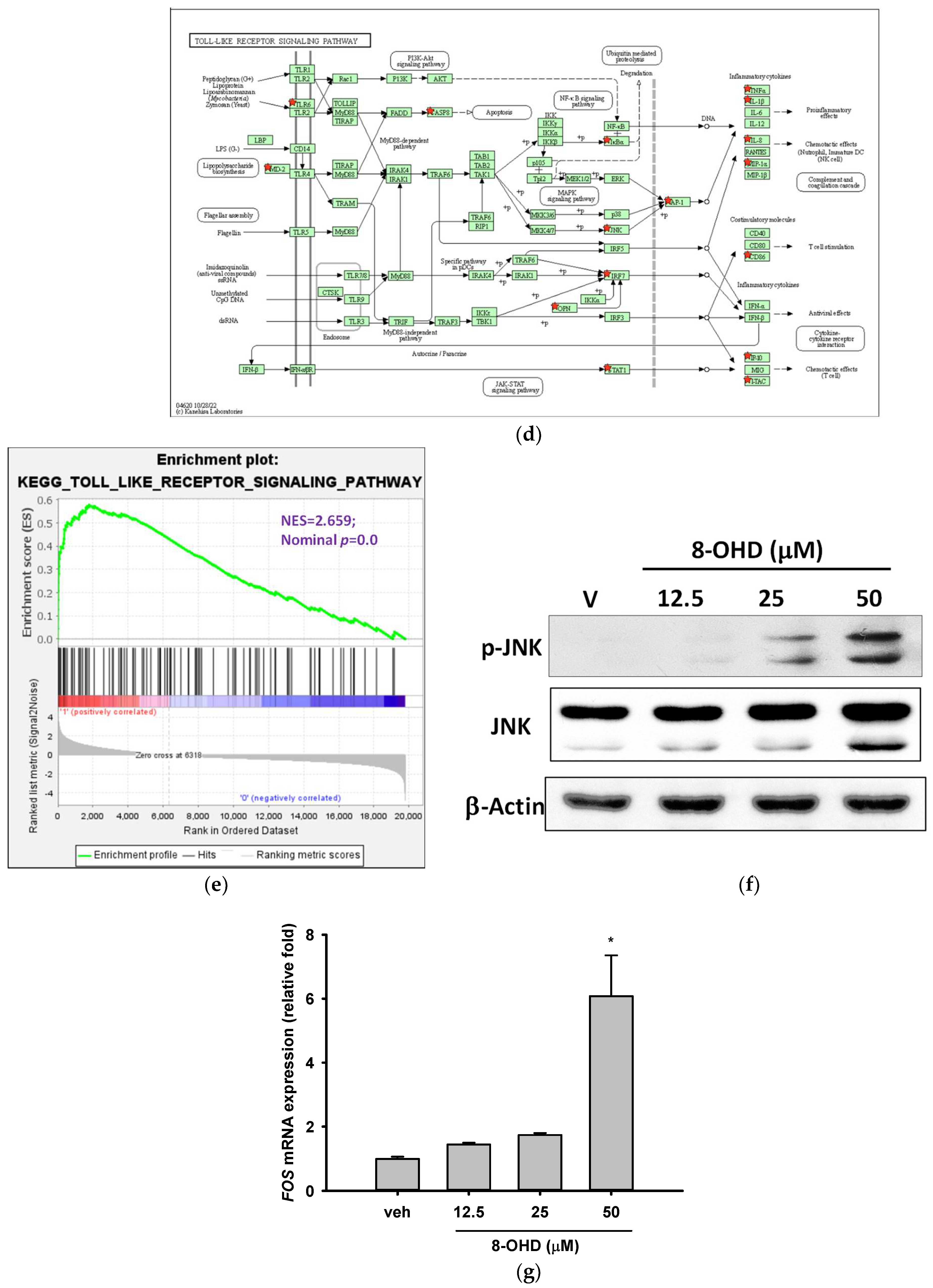 Biomolecules 13 01575 g006b