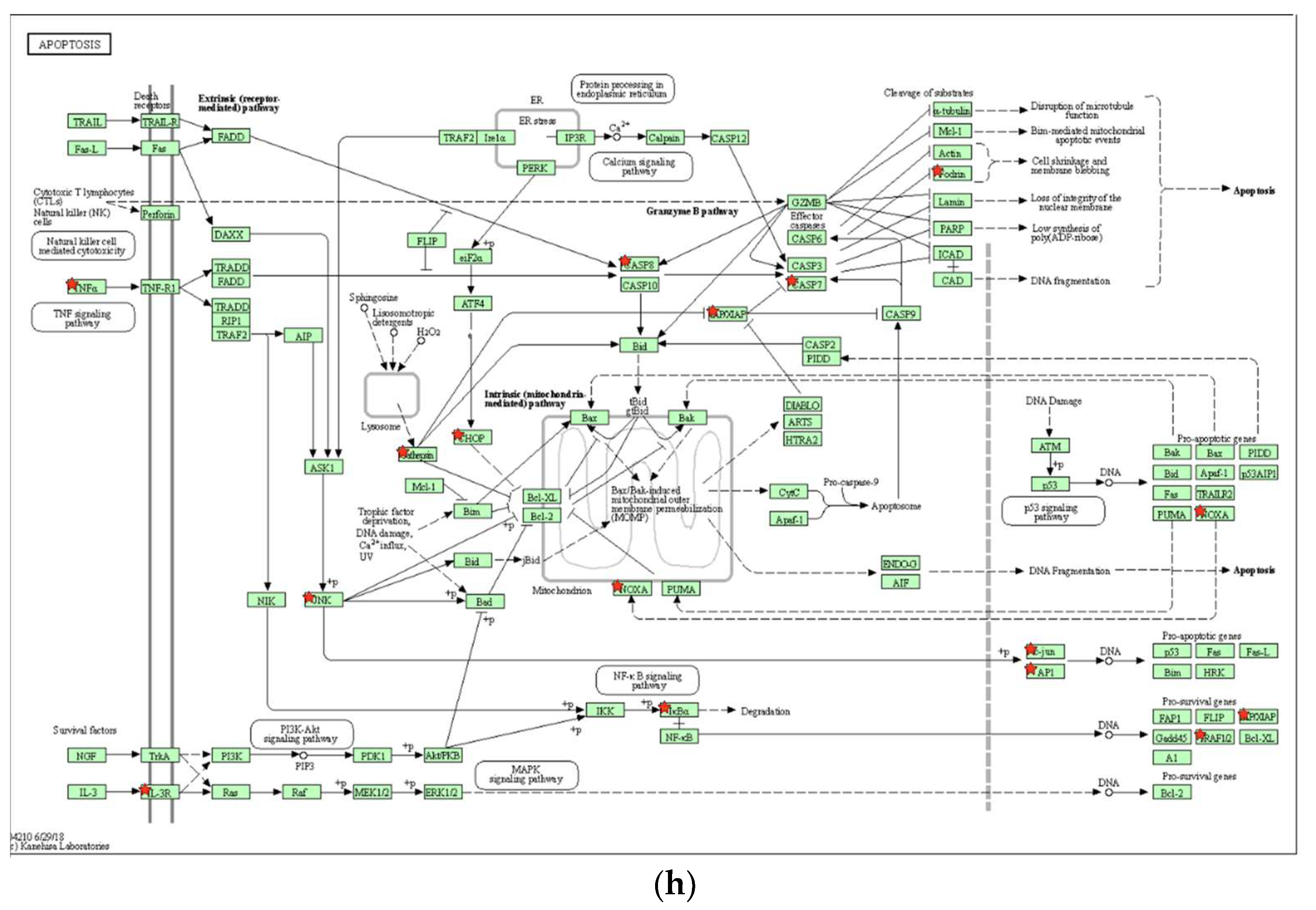 Biomolecules 13 01575 g006c