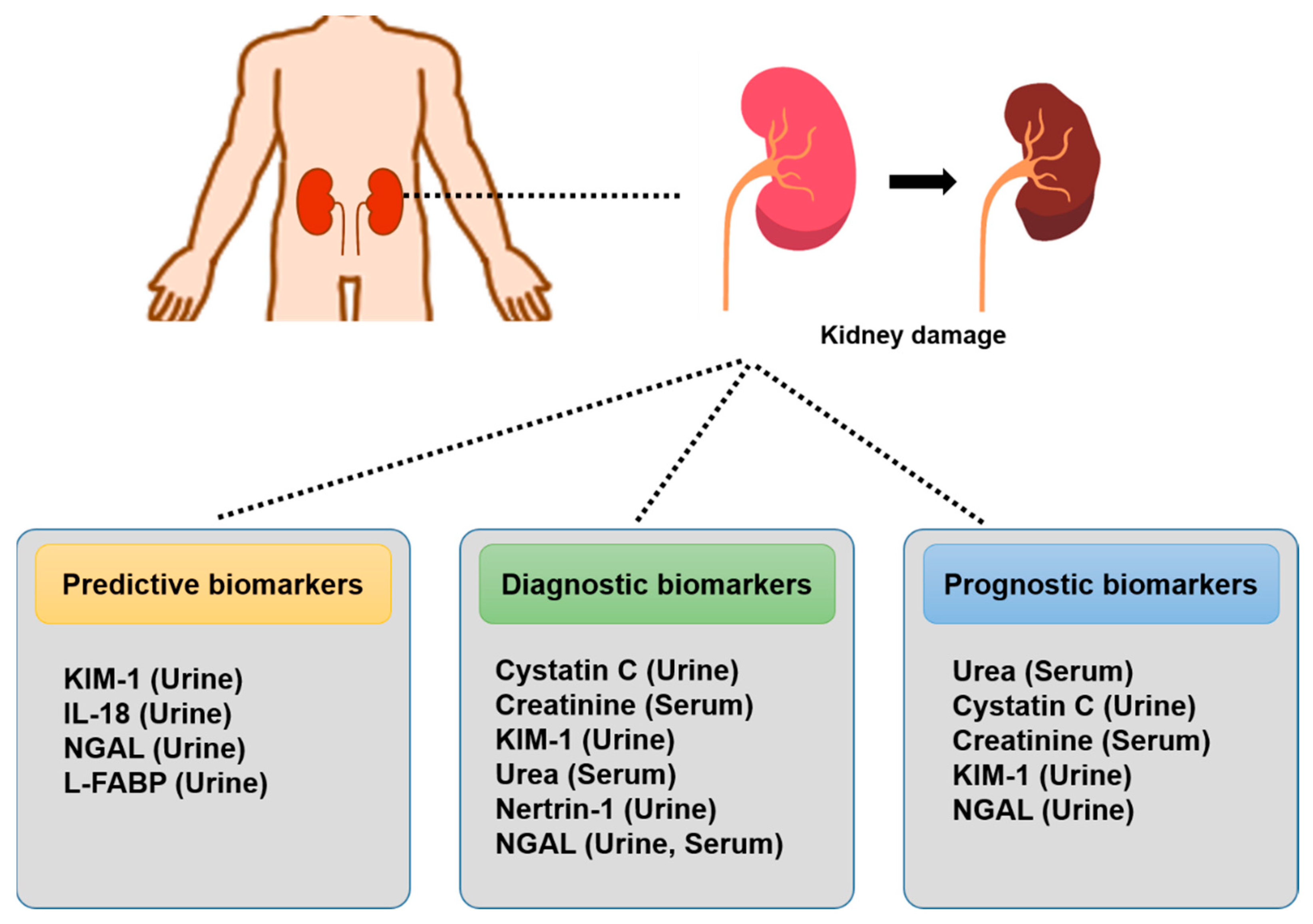 Biomolecules 13 01581 g001