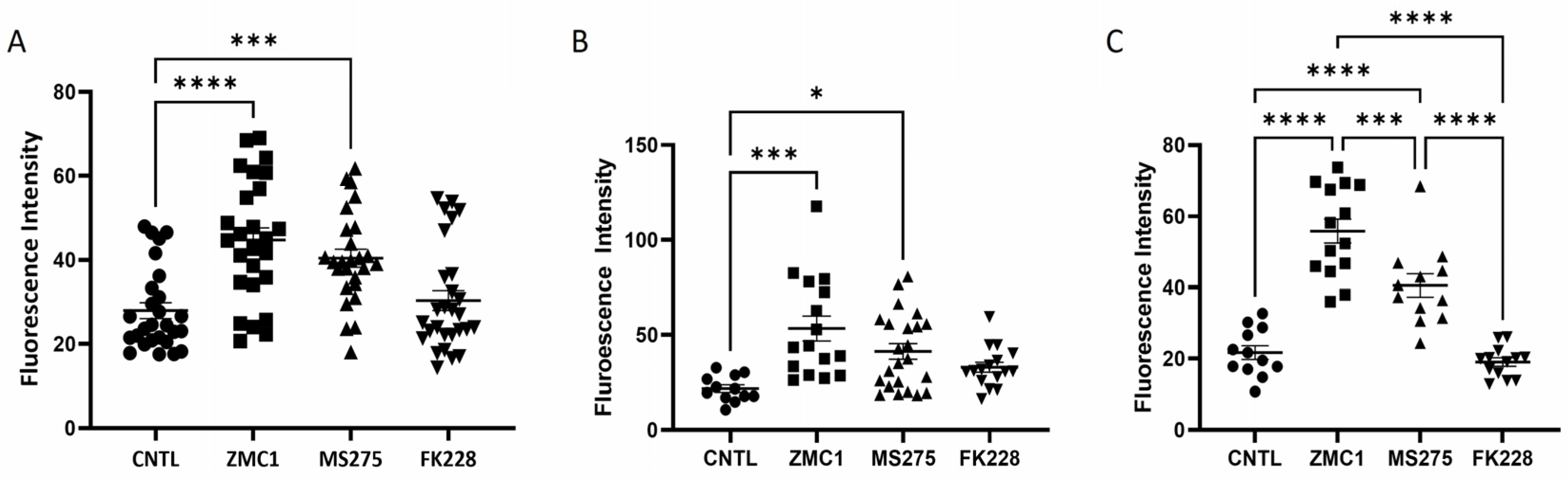 Biomolecules 13 01588 g002 Biomolecules 13 01588 g002