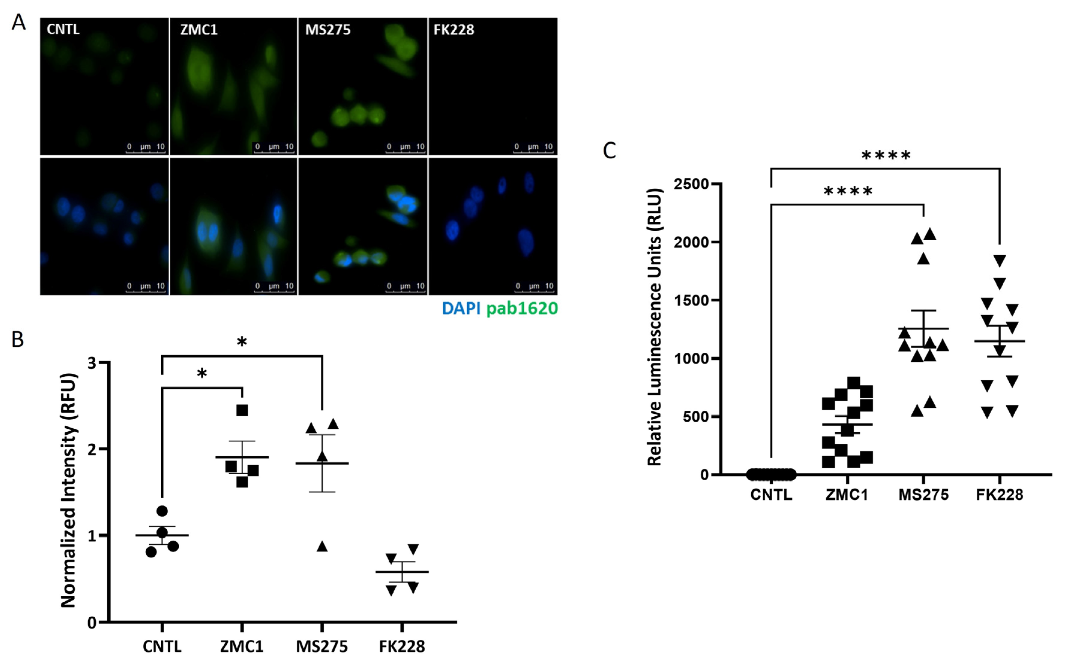 Biomolecules 13 01588 g003 Biomolecules 13 01588 g003