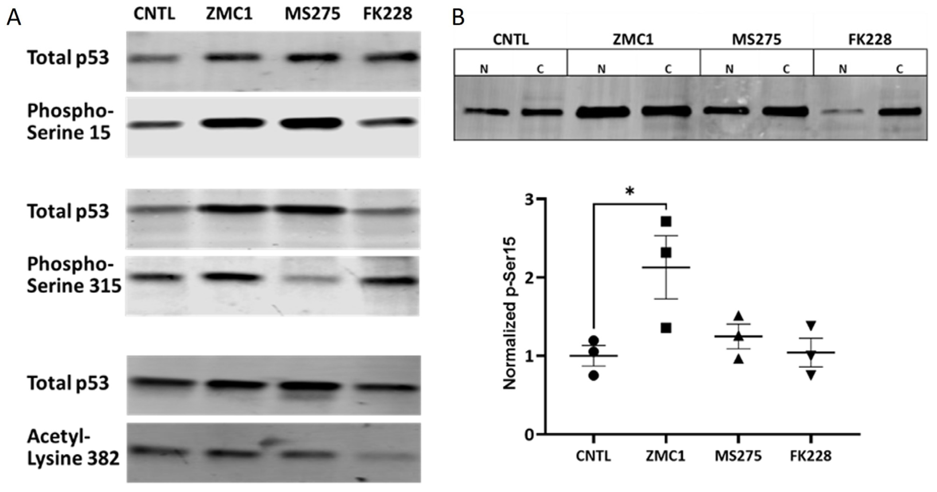 Biomolecules 13 01588 g005 Biomolecules 13 01588 g005
