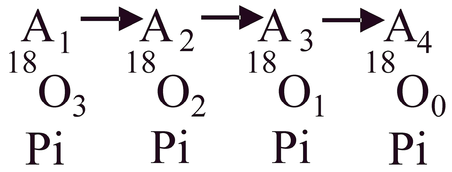 Biomolecules 13 01596 g001