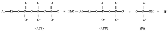 Biomolecules 13 01596 i001