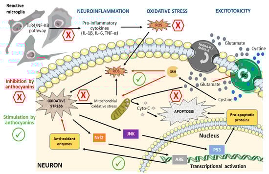 Biomolecules 13 01598 g002