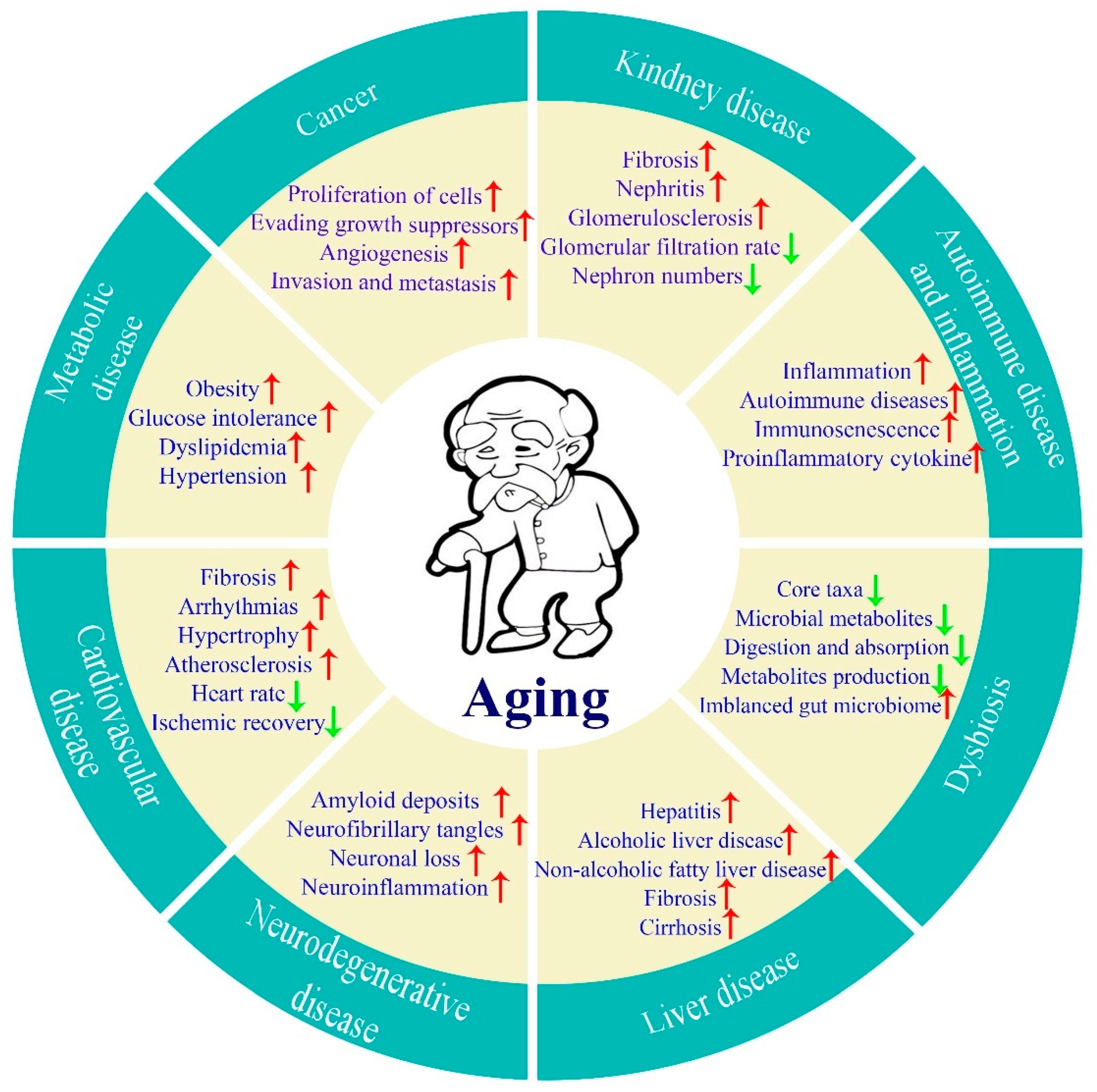 Biomolecules 13 01600 g001