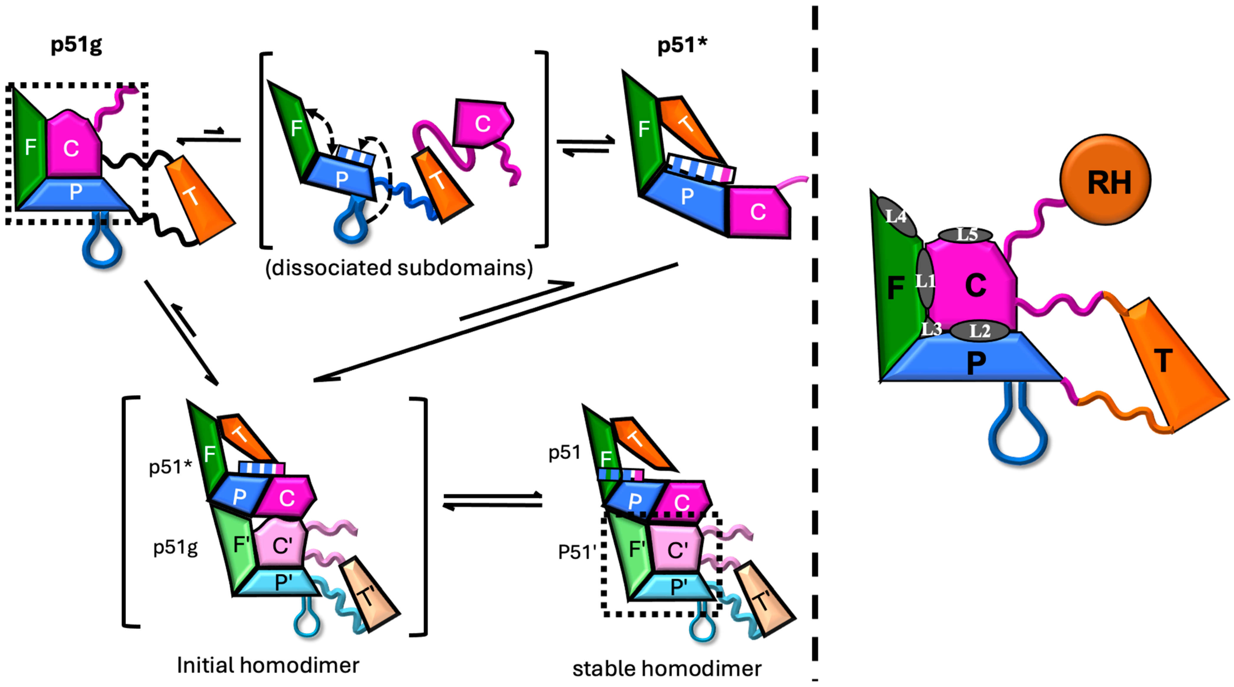 Biomolecules 13 01603 g002