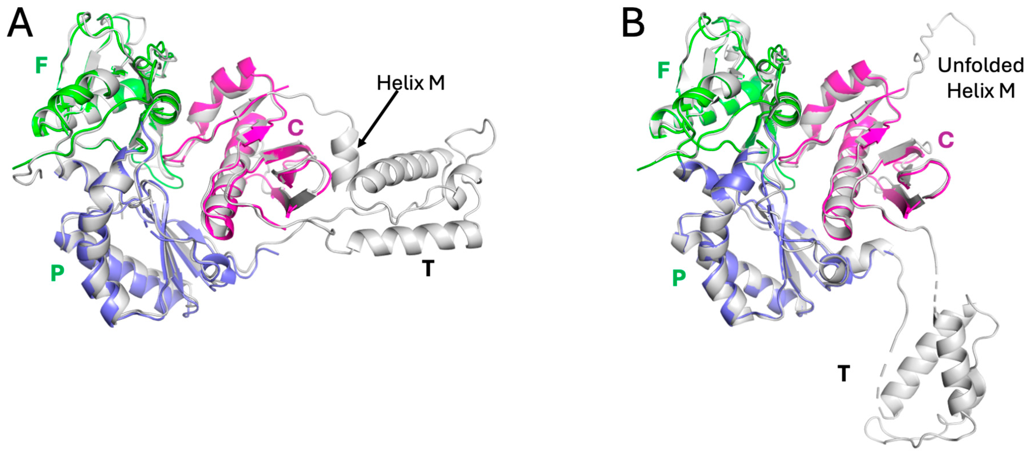 Biomolecules 13 01603 g003