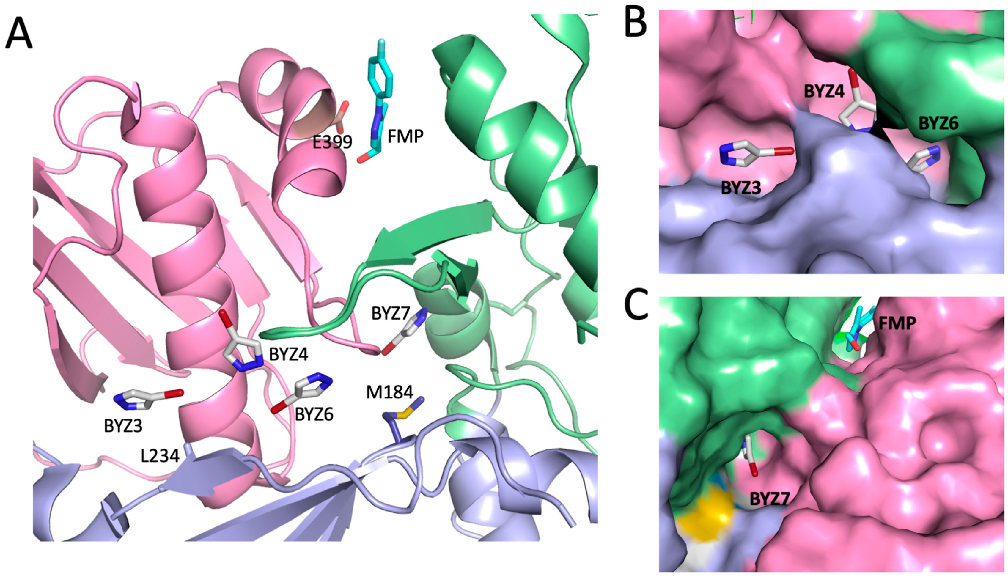 Biomolecules 13 01603 g004