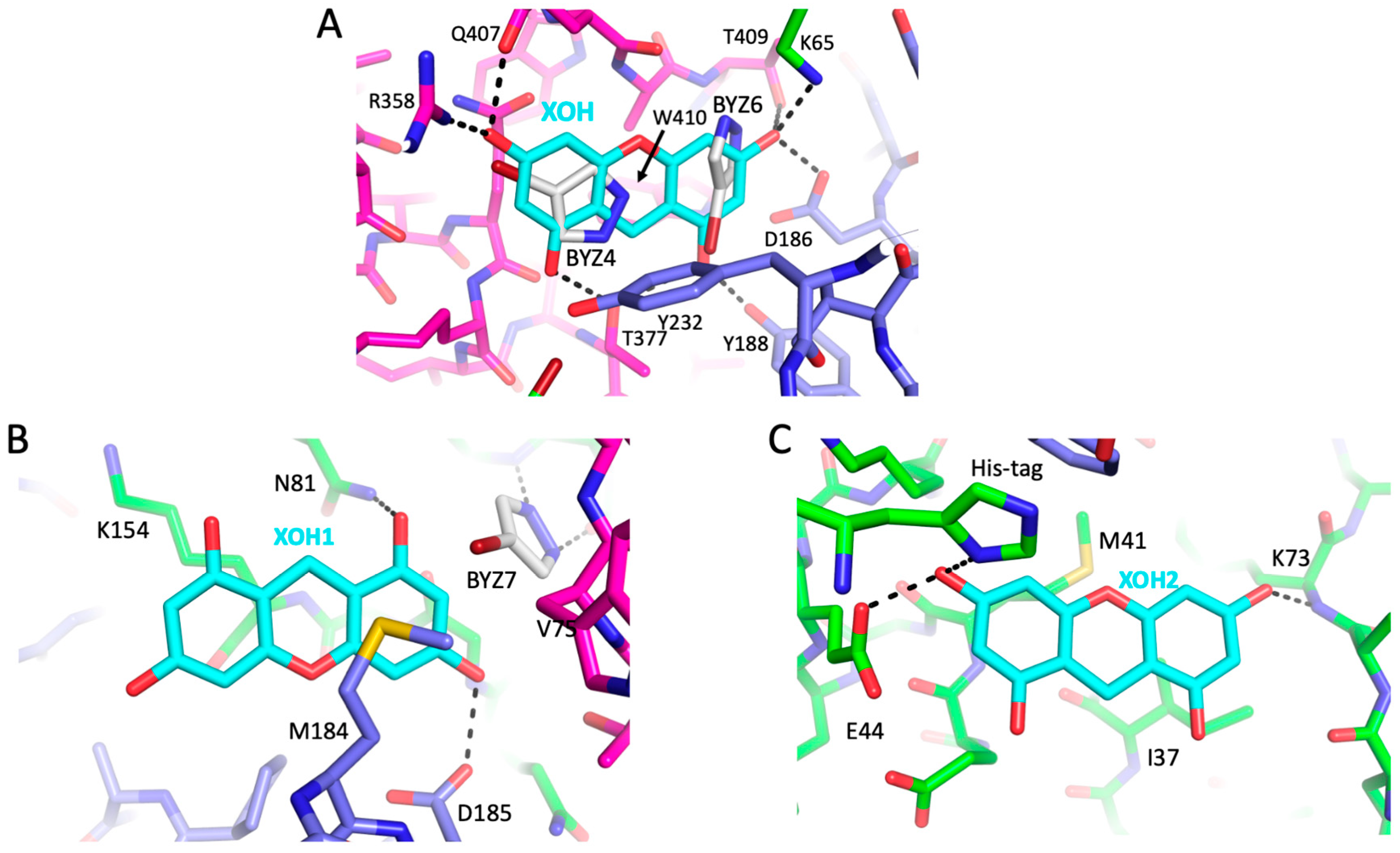 Biomolecules 13 01603 g008