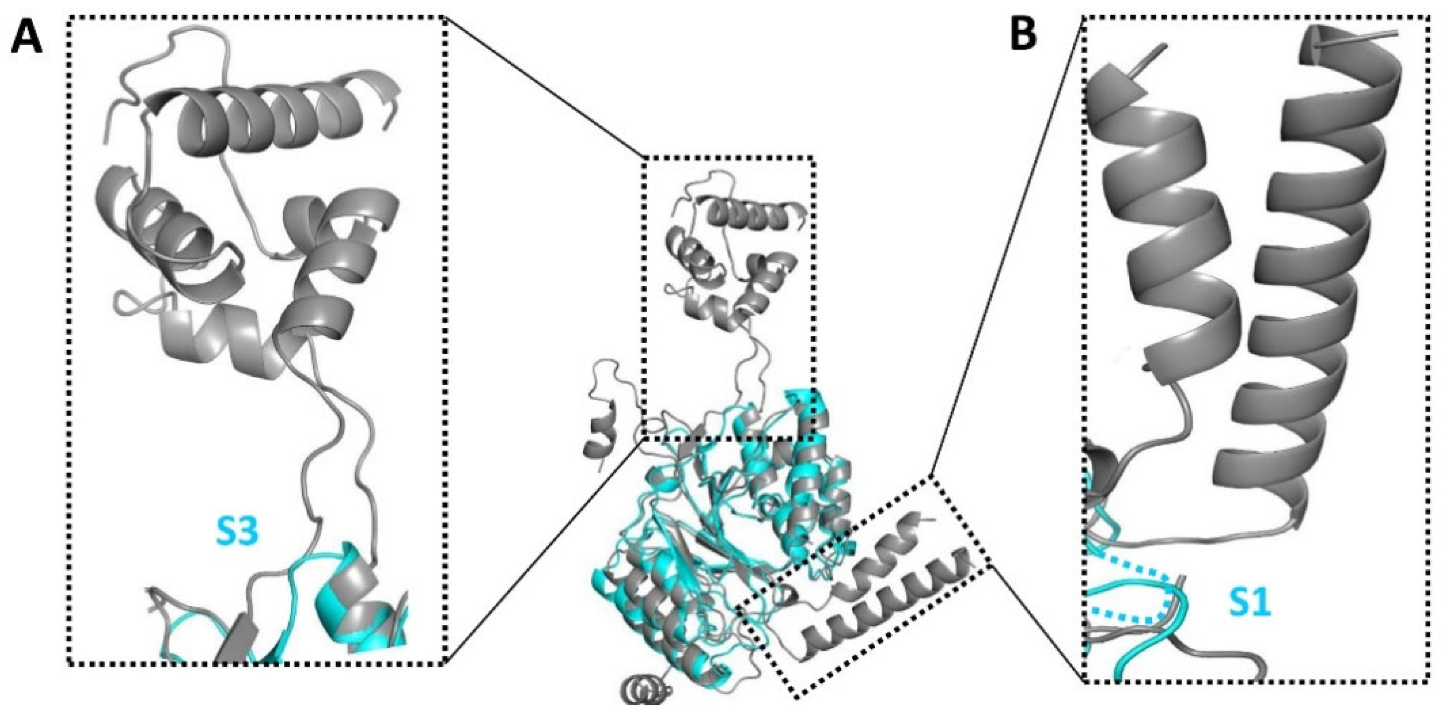 Biomolecules 13 01611 g002 Biomolecules 13 01611 g002