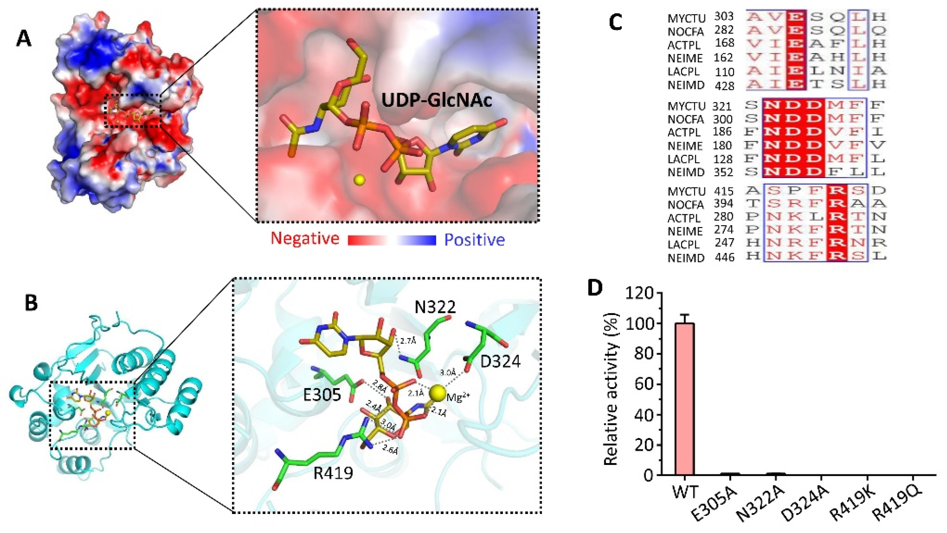 Biomolecules 13 01611 g004 Biomolecules 13 01611 g004