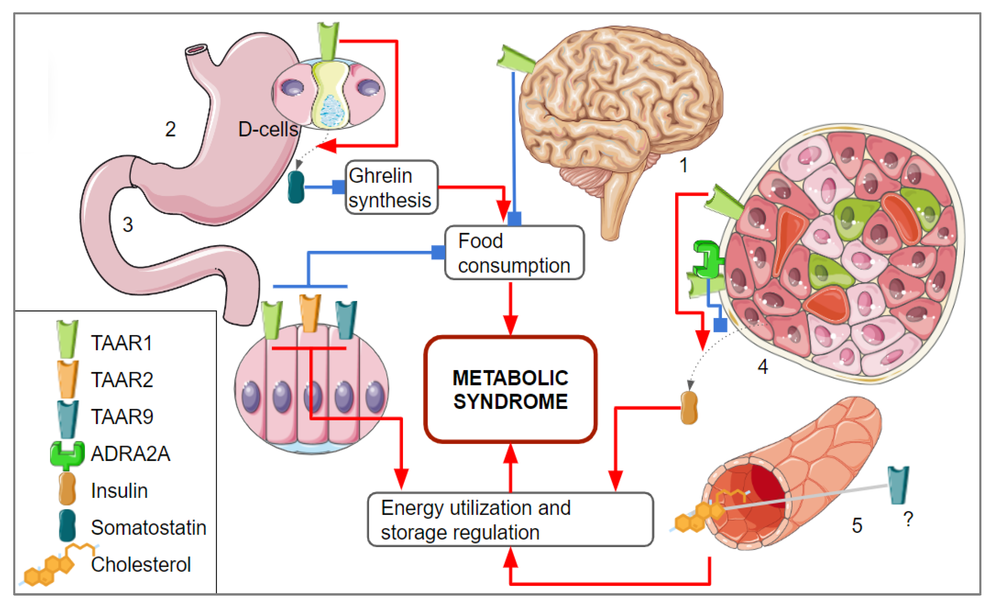 Biomolecules 13 01618 g003