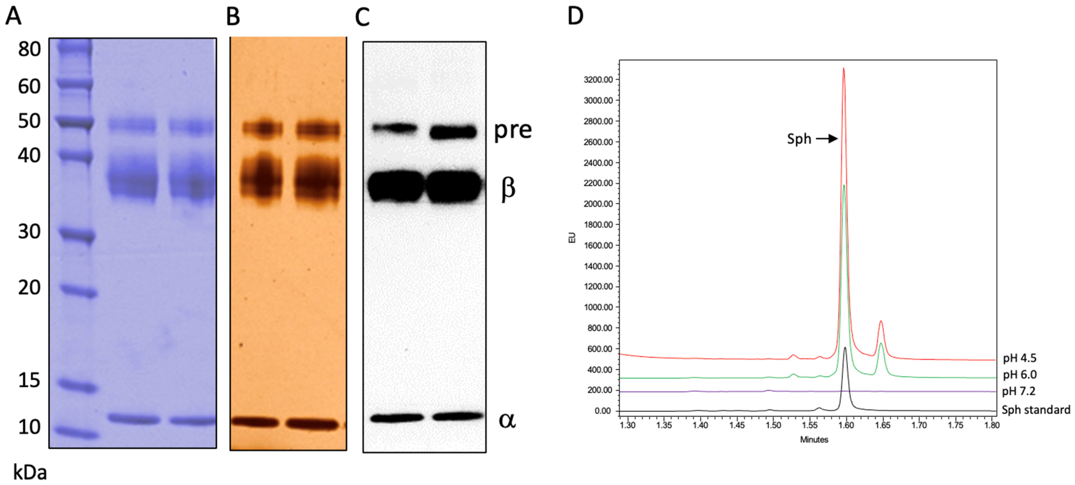 Biomolecules 13 01623 g001