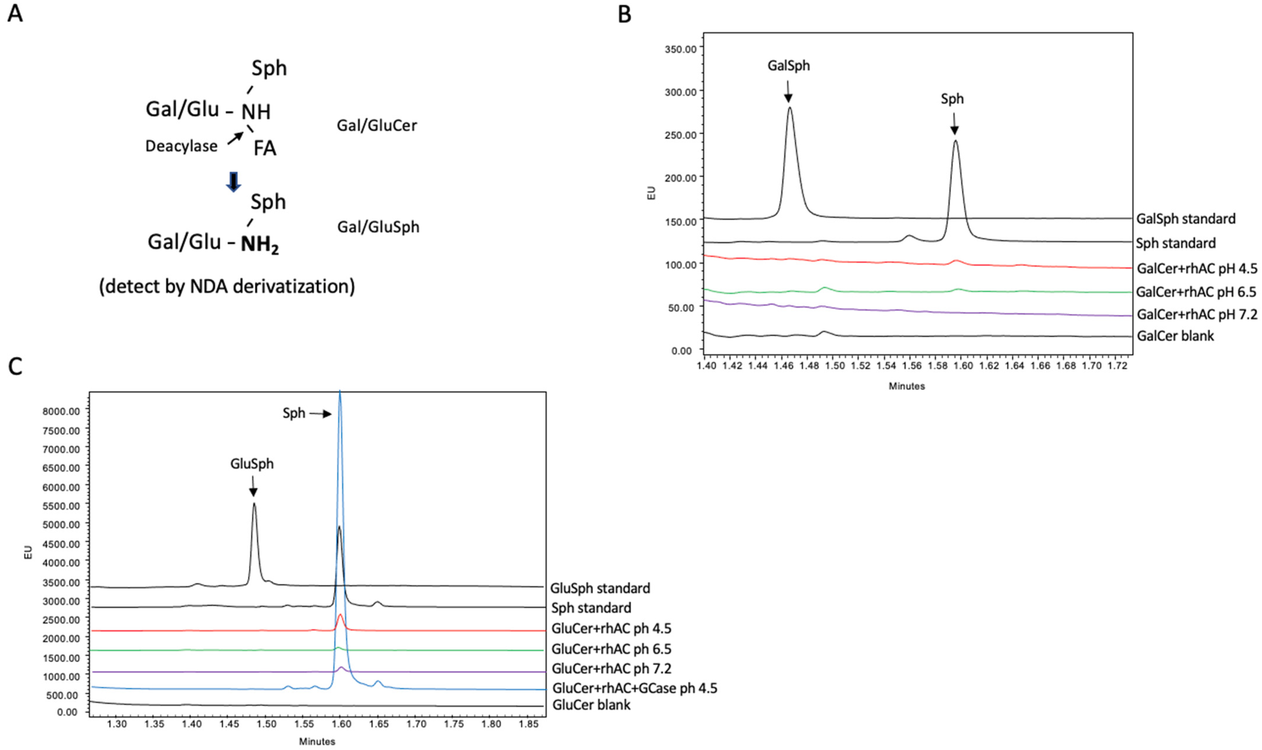 Biomolecules 13 01623 g002
