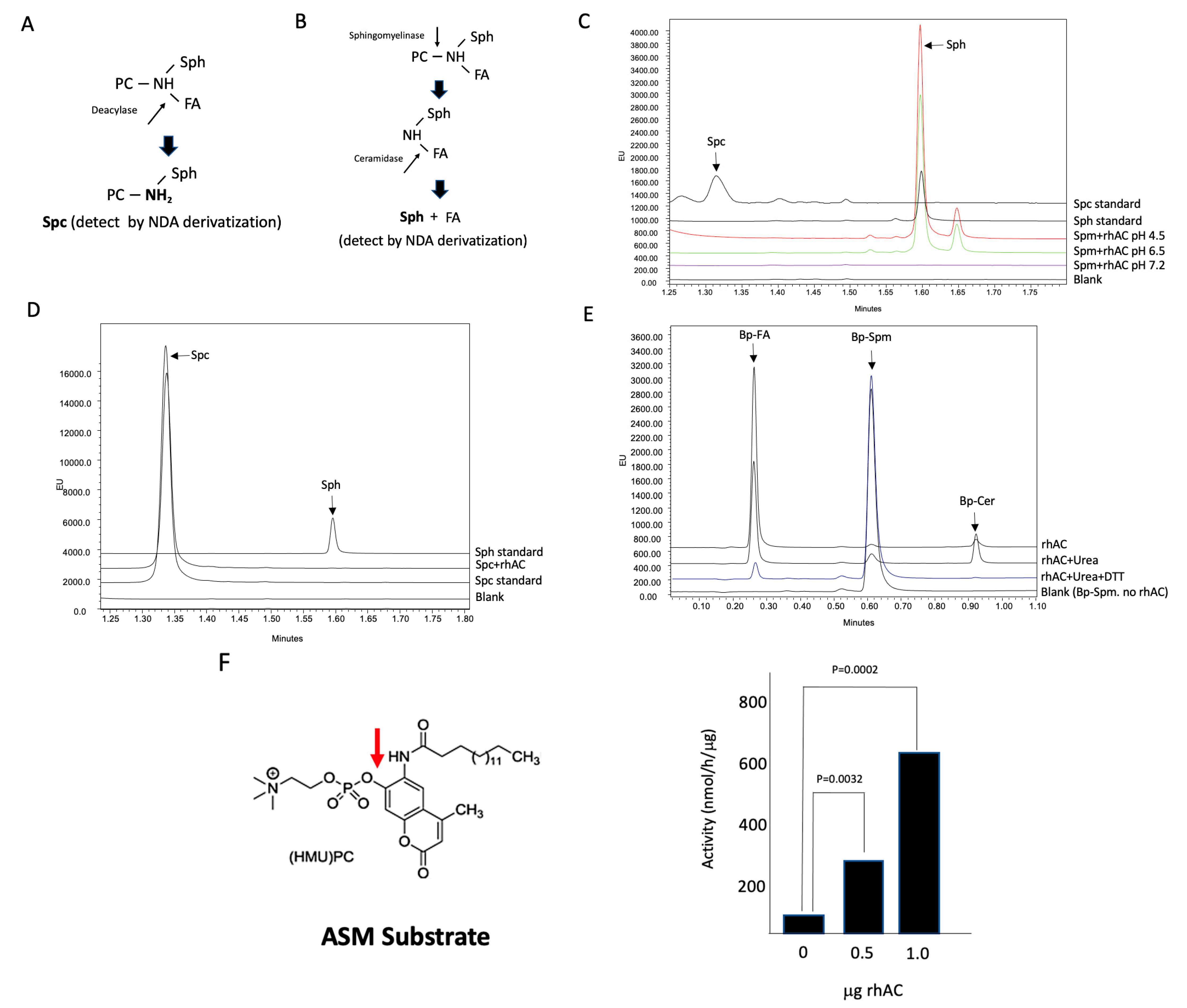 Biomolecules 13 01623 g003