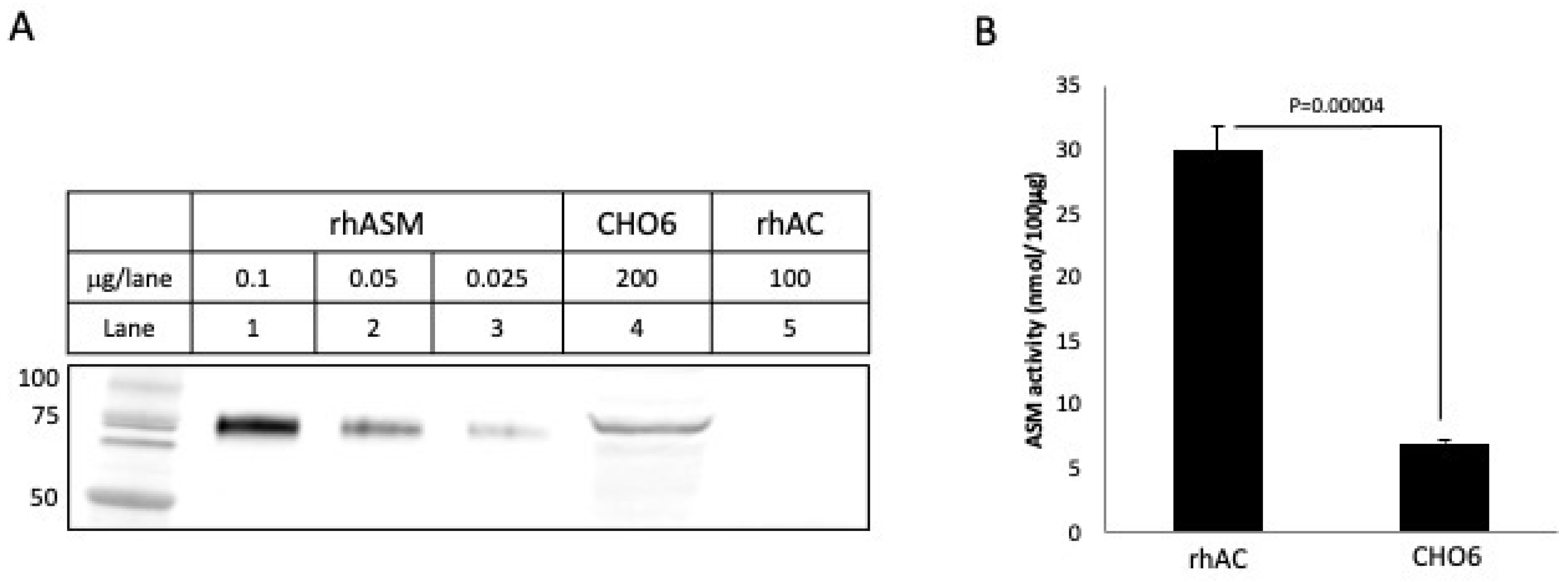 Biomolecules 13 01623 g004