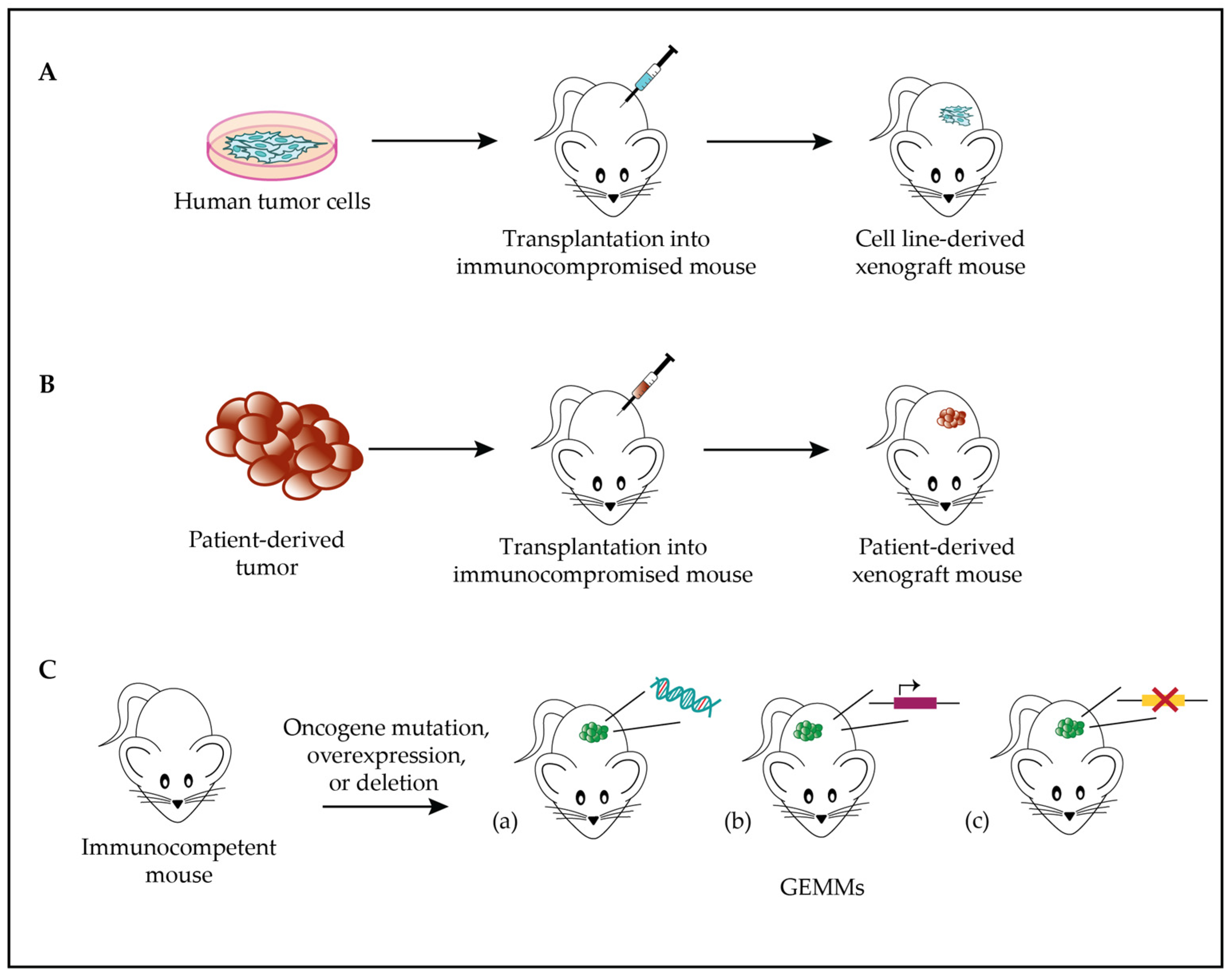 Biomolecules 13 01624 g001 Biomolecules 13 01624 g001