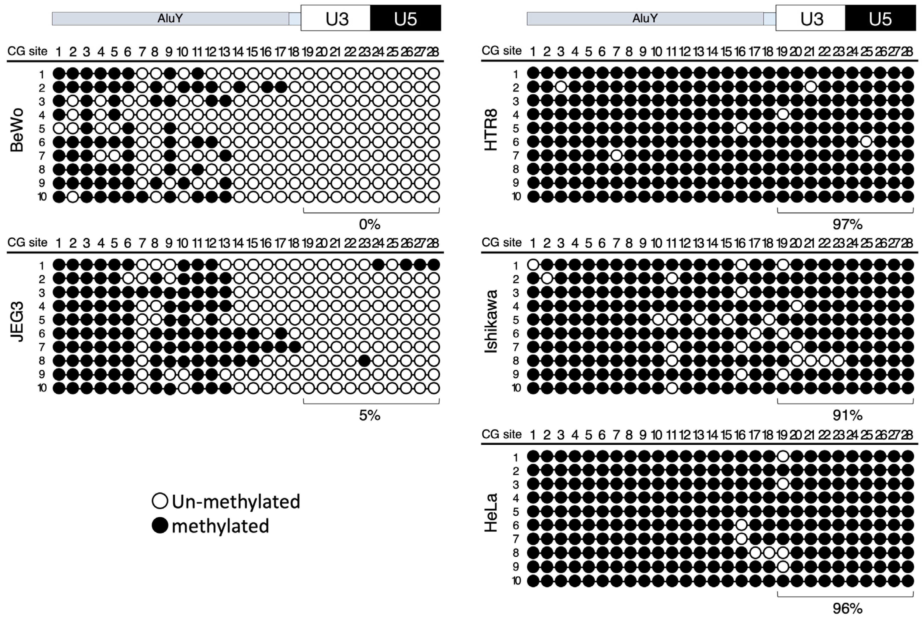Biomolecules 13 01627 g003