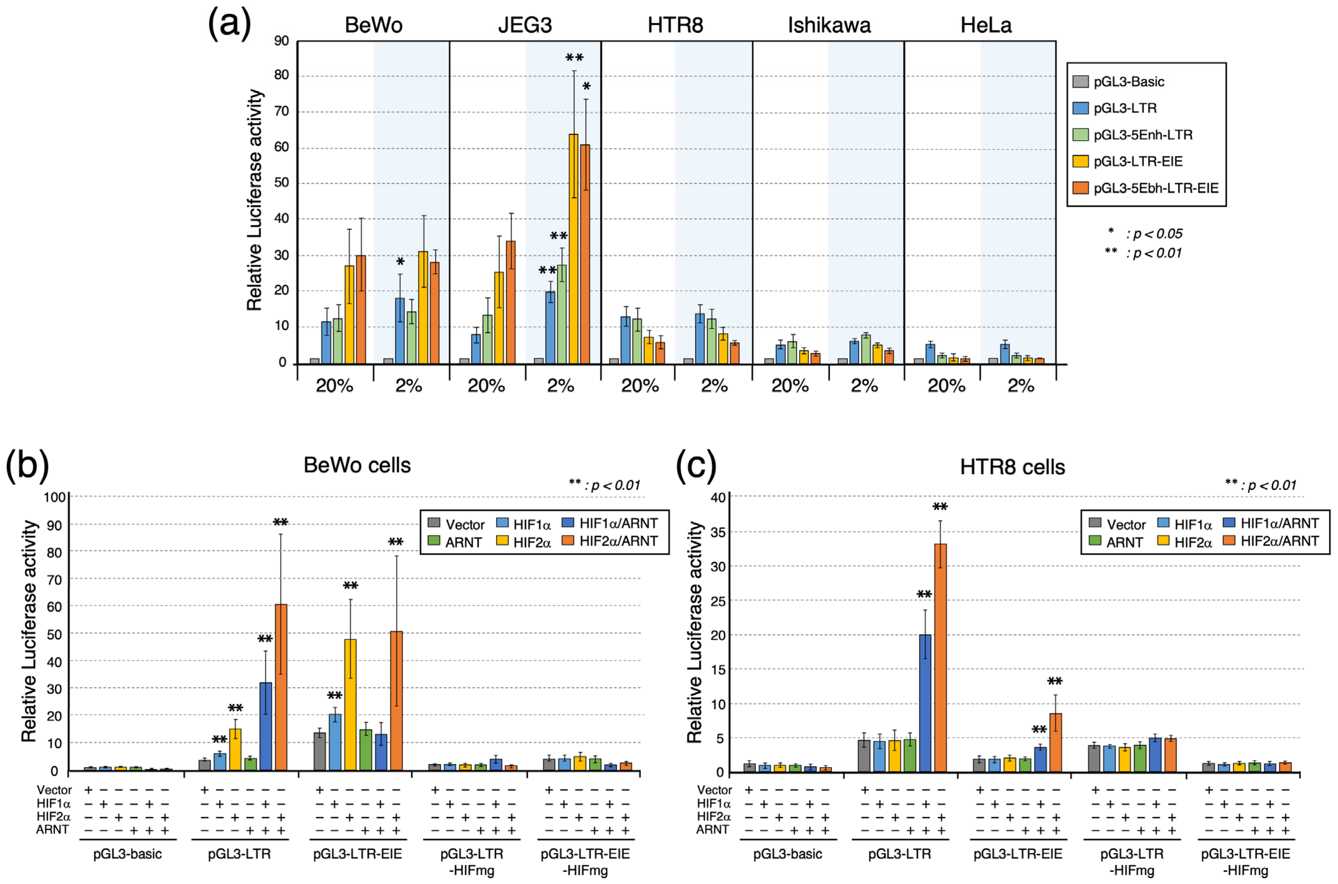 Biomolecules 13 01627 g005