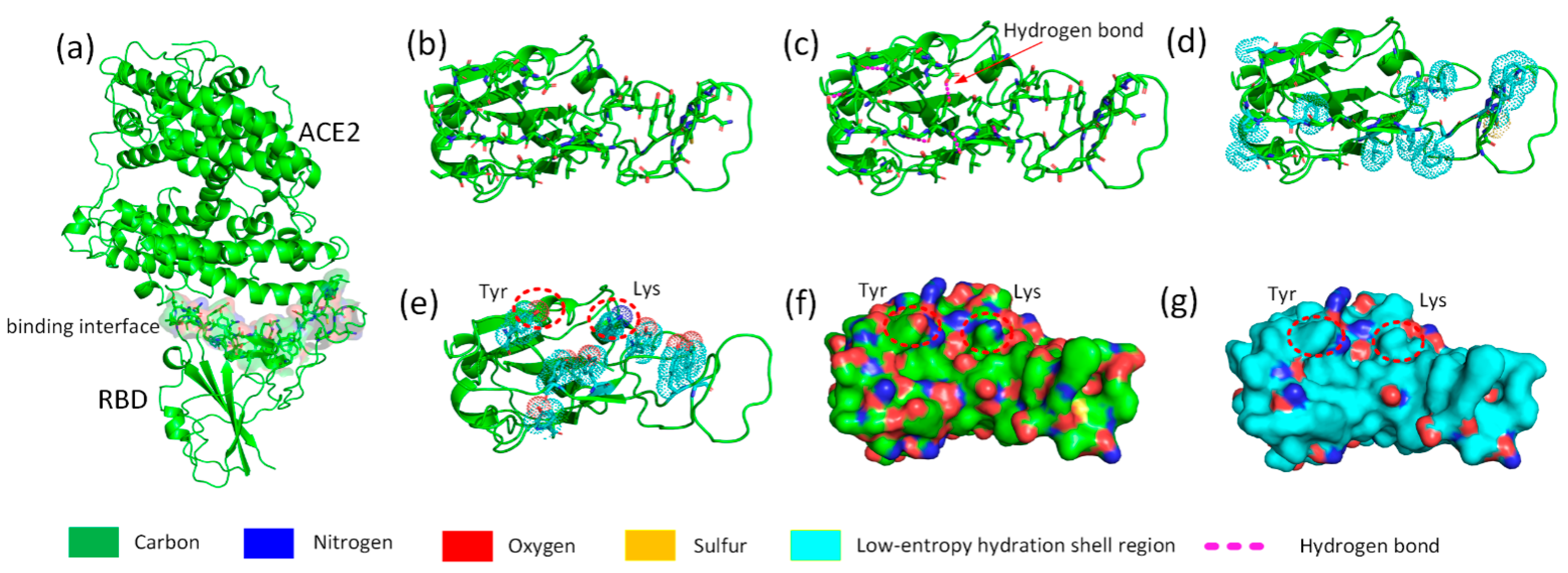 Biomolecules 13 01628 g003