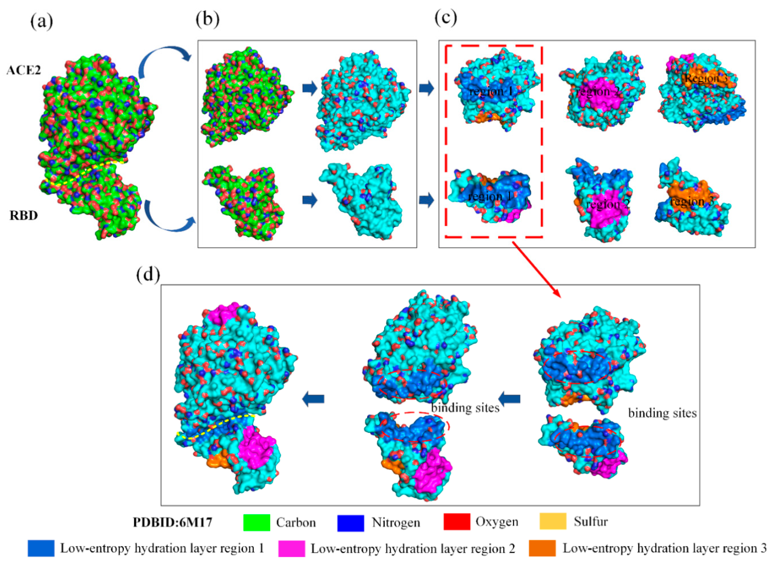 Biomolecules 13 01628 g004