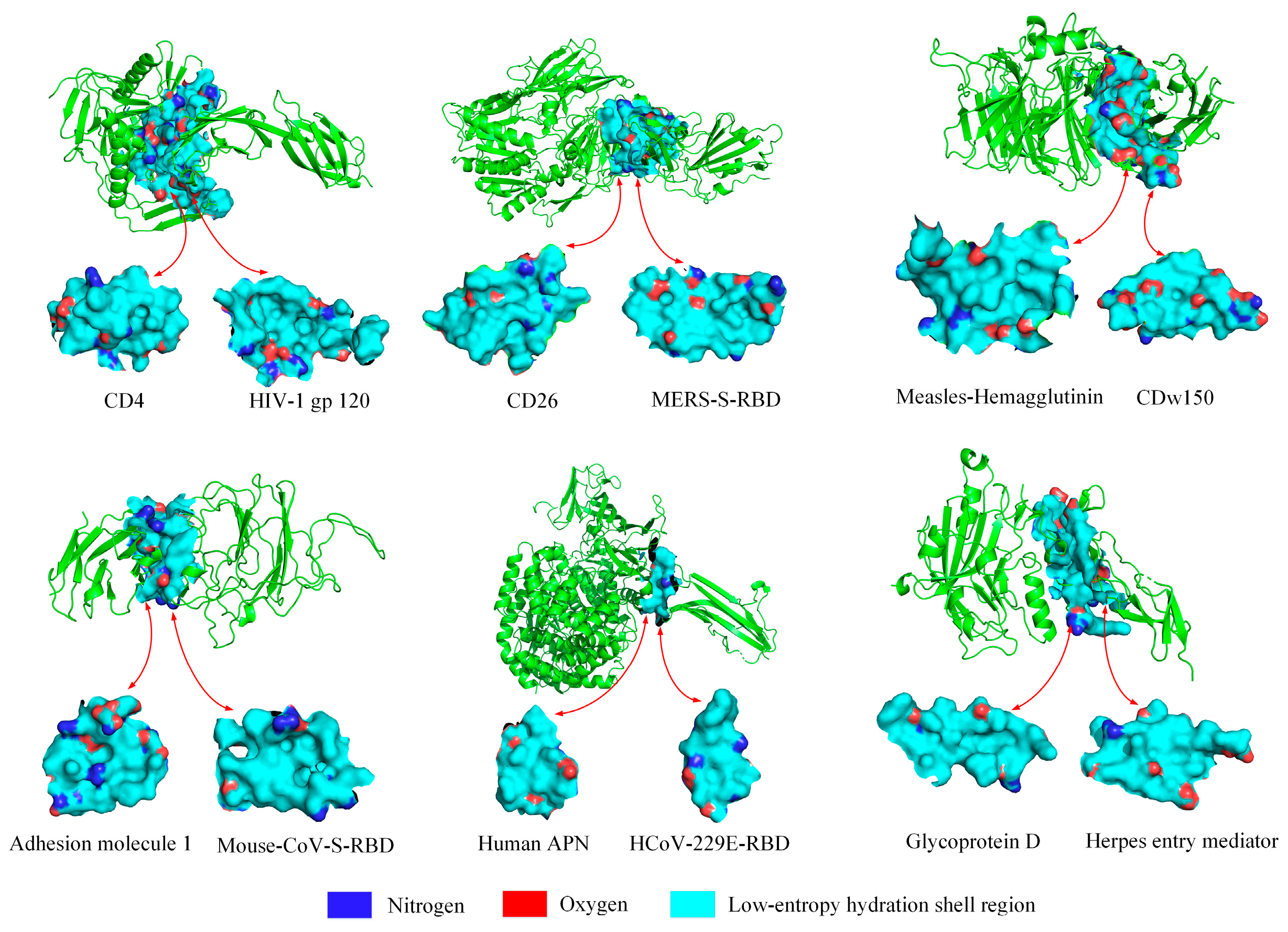 Biomolecules 13 01628 g008