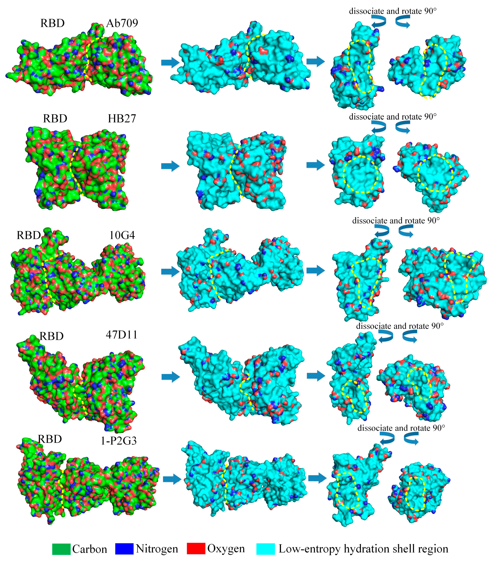 Biomolecules 13 01628 g011