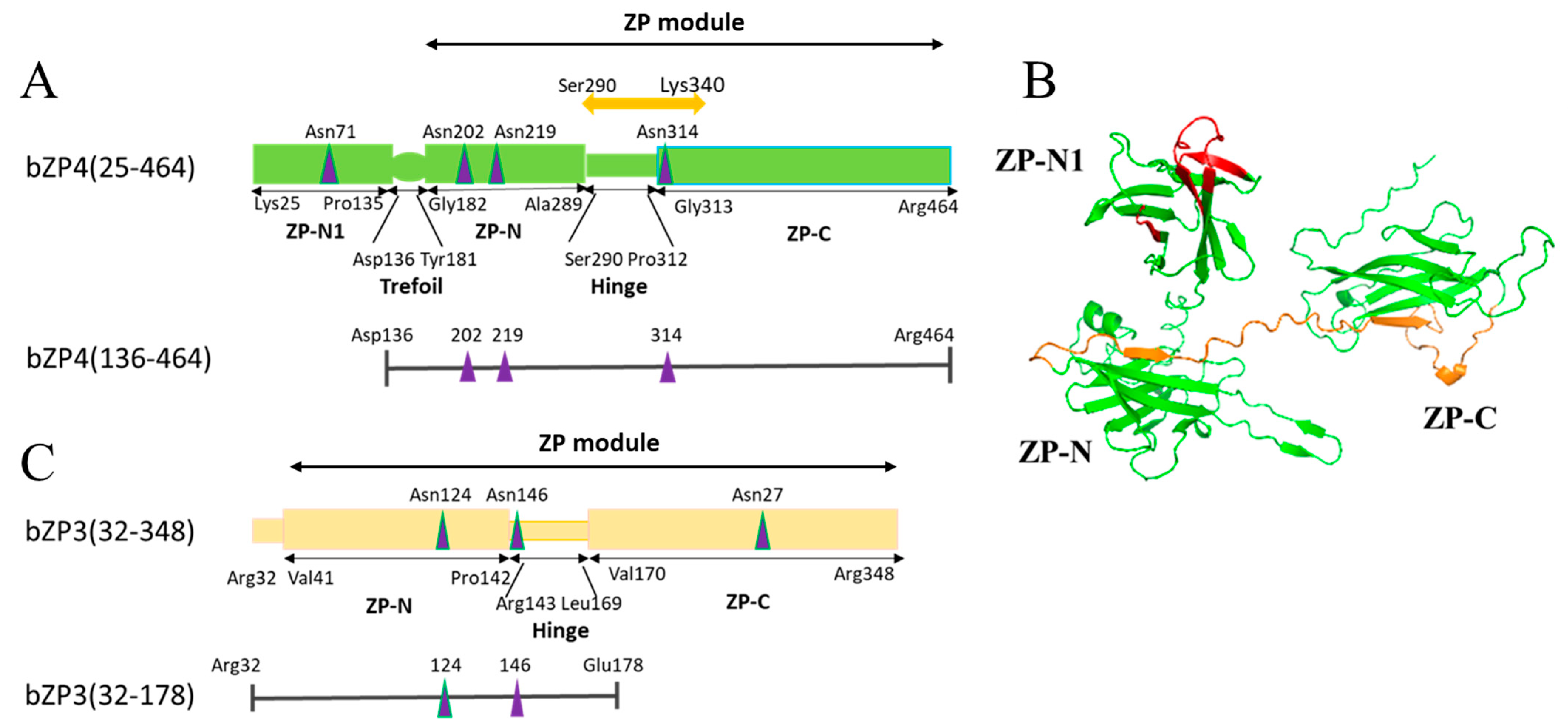 Biomolecules 13 01636 g001 Biomolecules 13 01636 g001