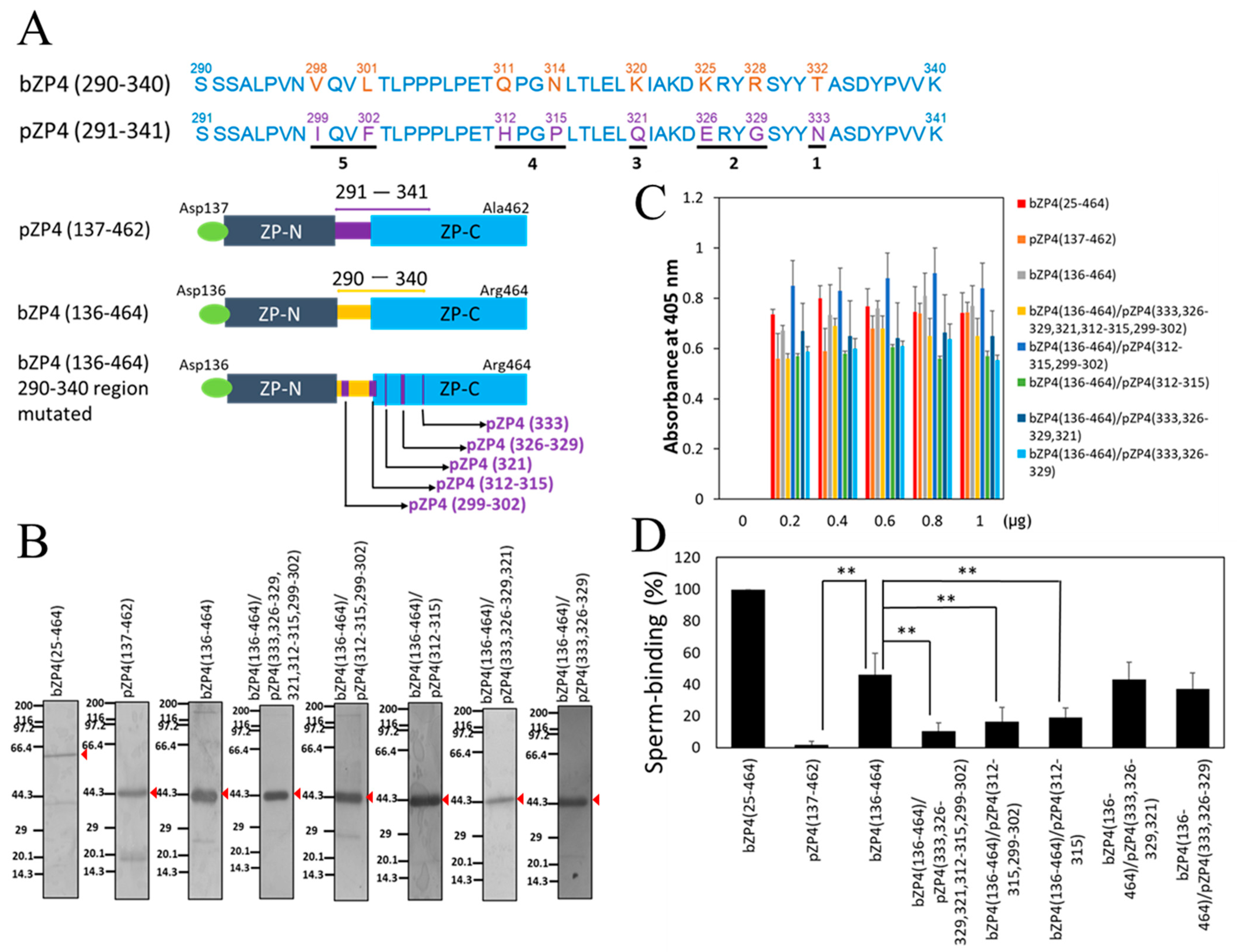 Biomolecules 13 01636 g002 Biomolecules 13 01636 g002