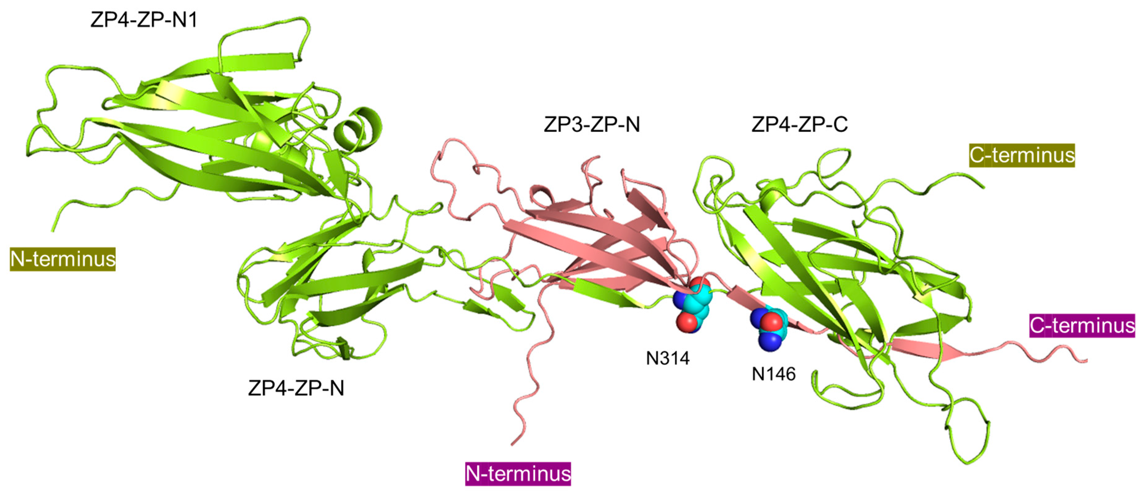 Biomolecules 13 01636 g005 Biomolecules 13 01636 g005