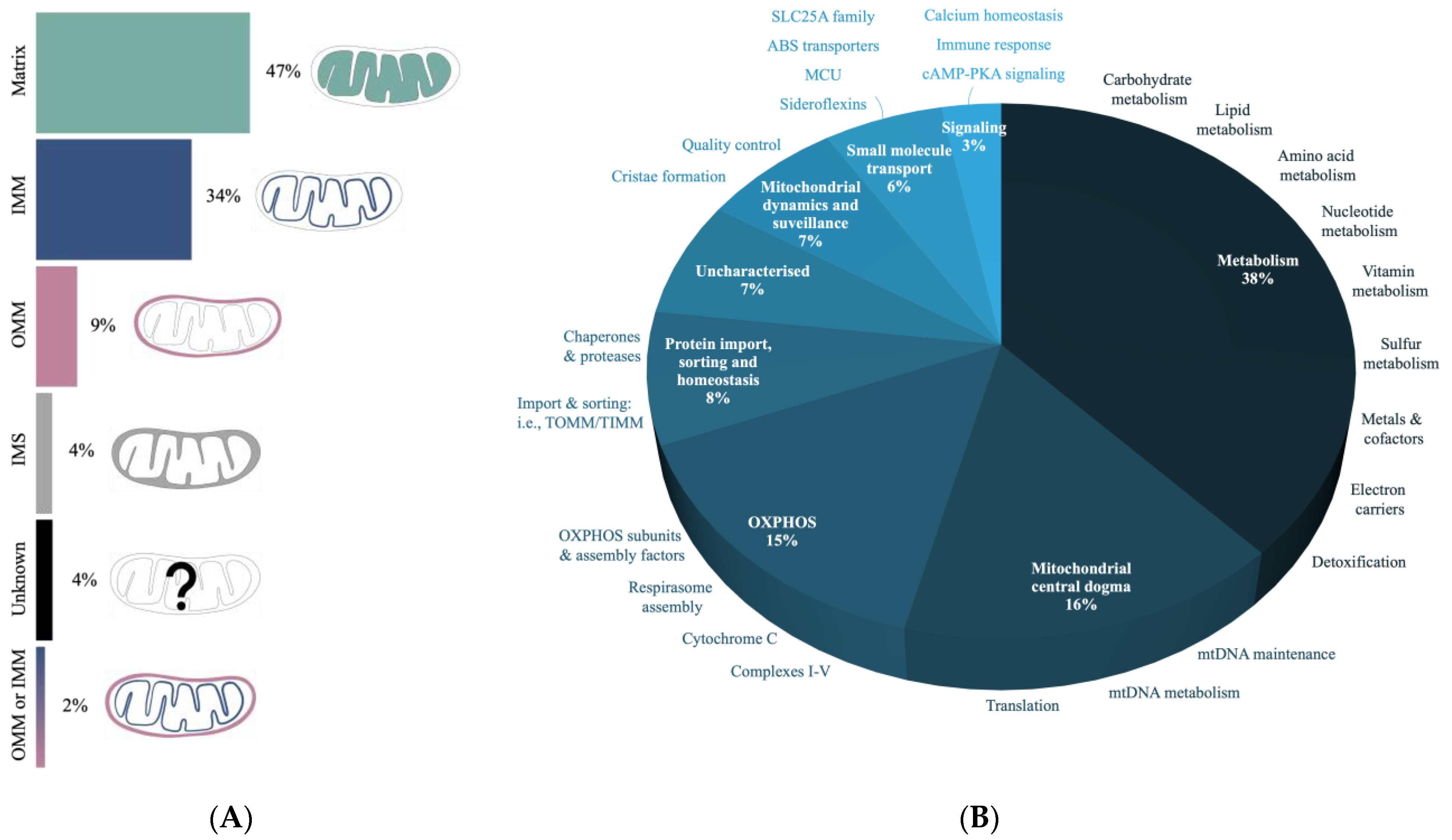 Biomolecules 13 01638 g005