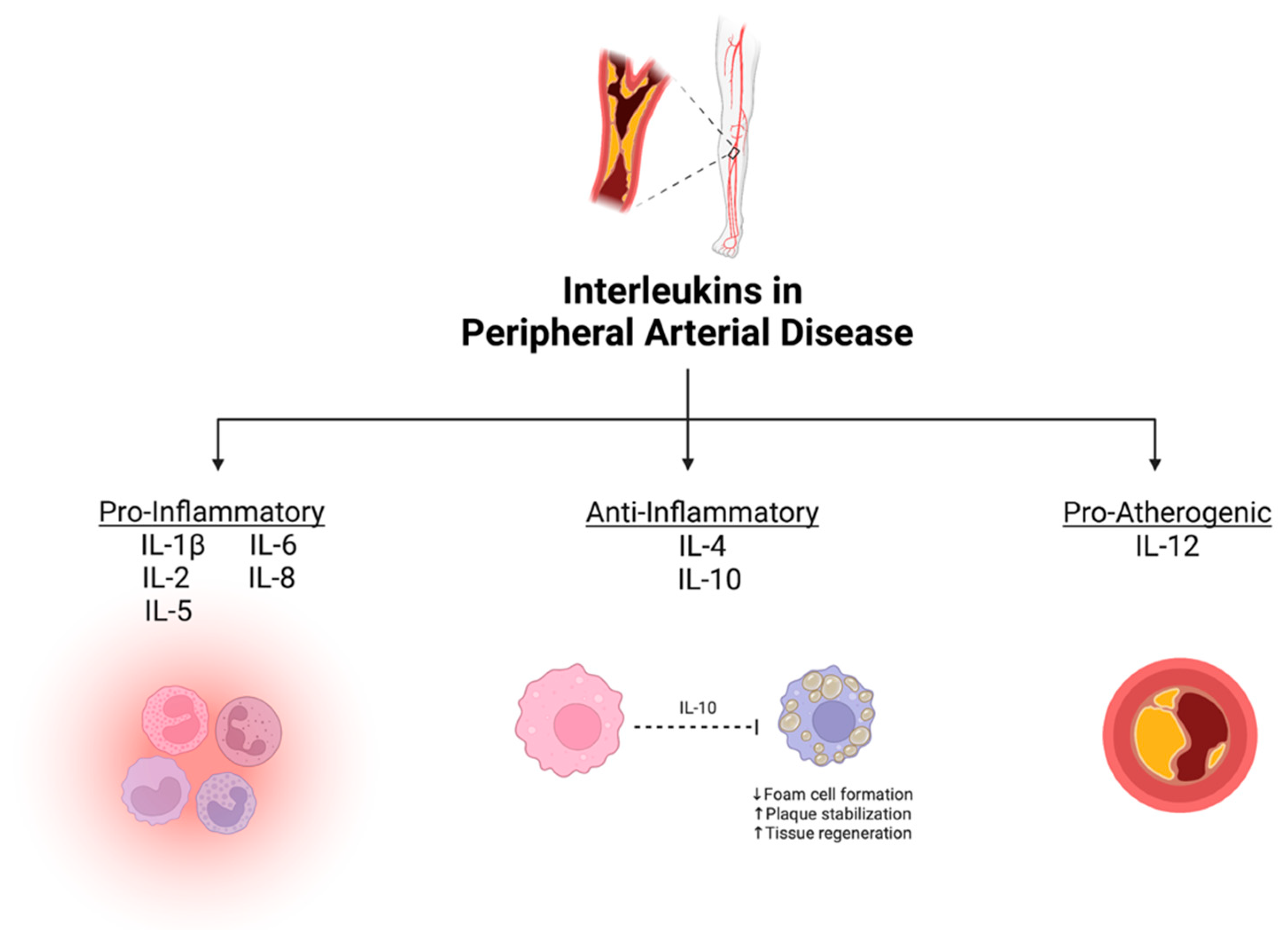 Biomolecules 13 01640 g002 Biomolecules 13 01640 g002