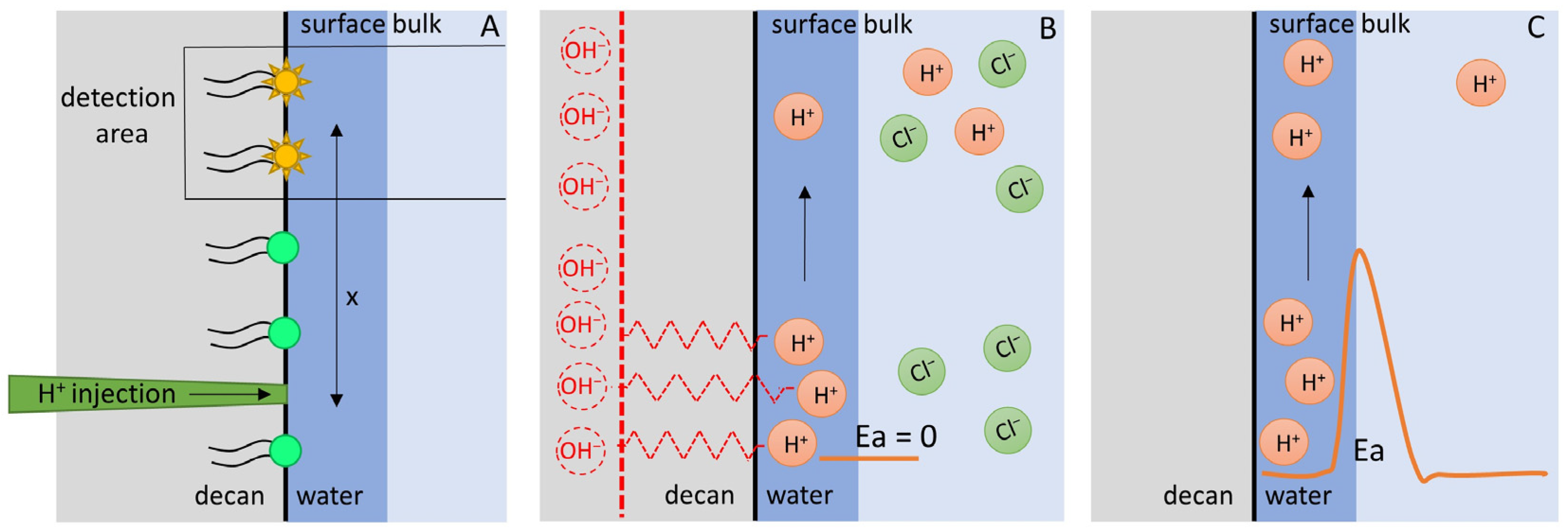 Biomolecules 13 01641 g003
