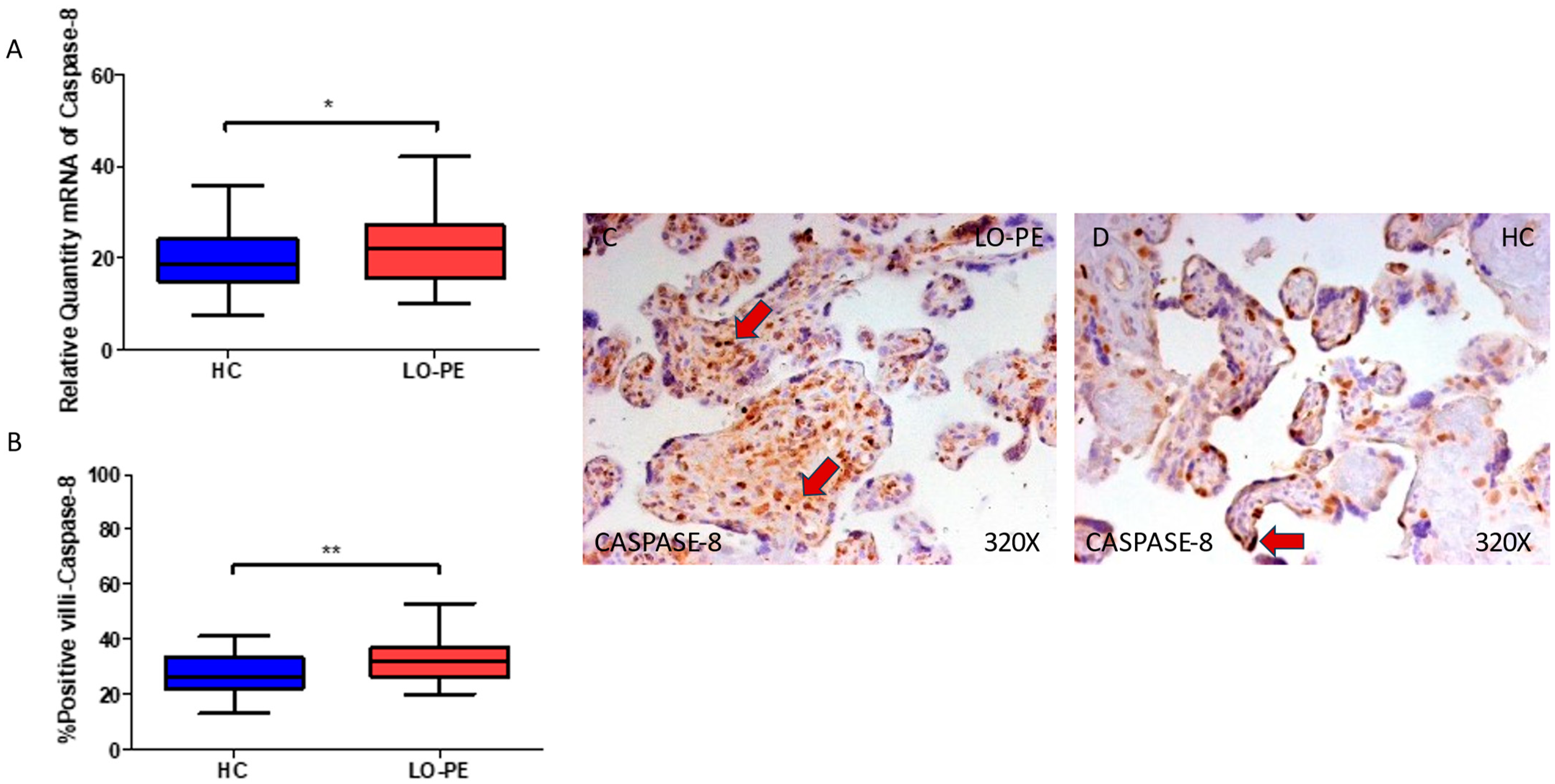 Biomolecules 13 01644 g005