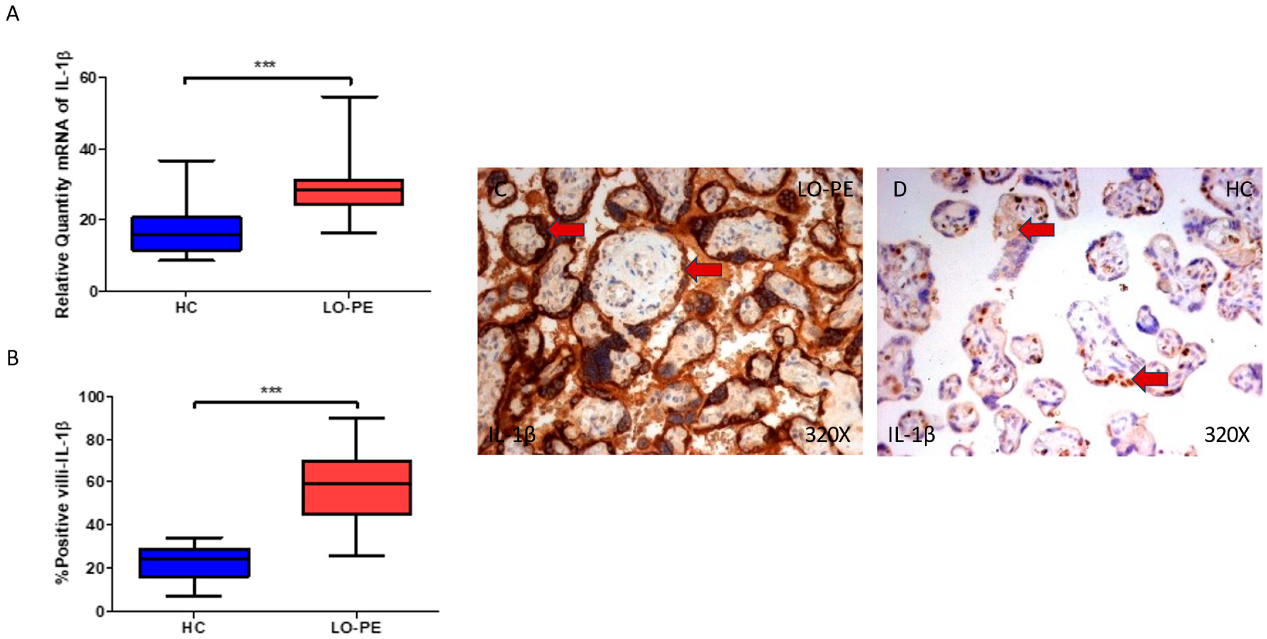 Biomolecules 13 01644 g006