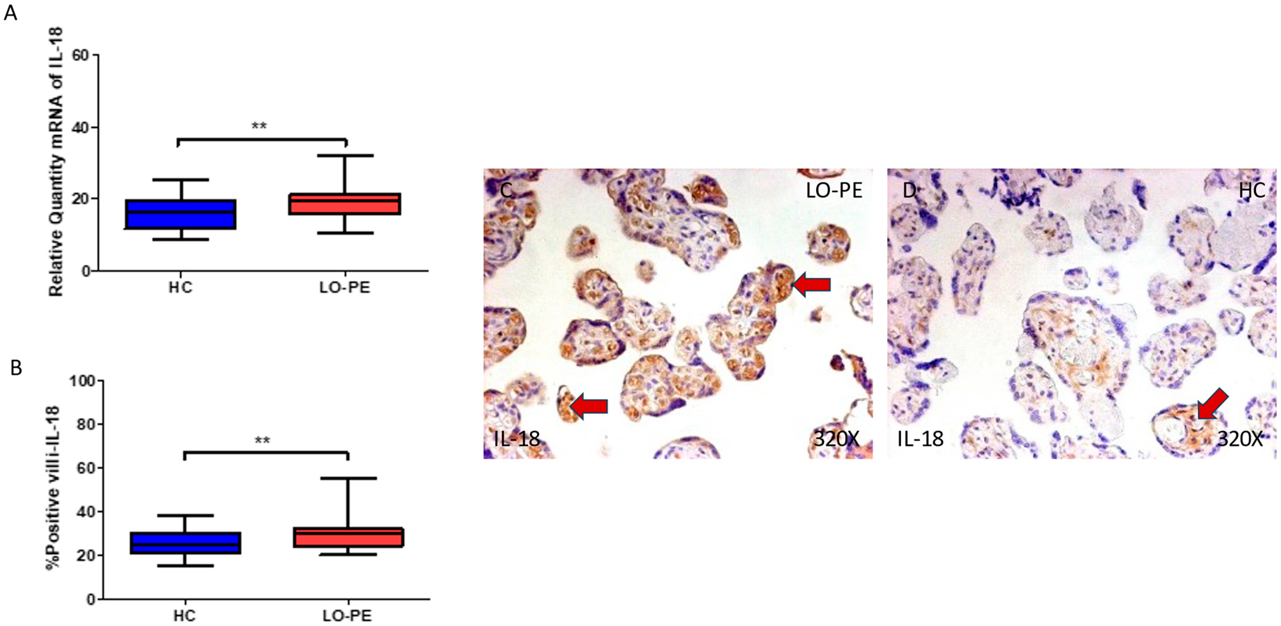 Biomolecules 13 01644 g007