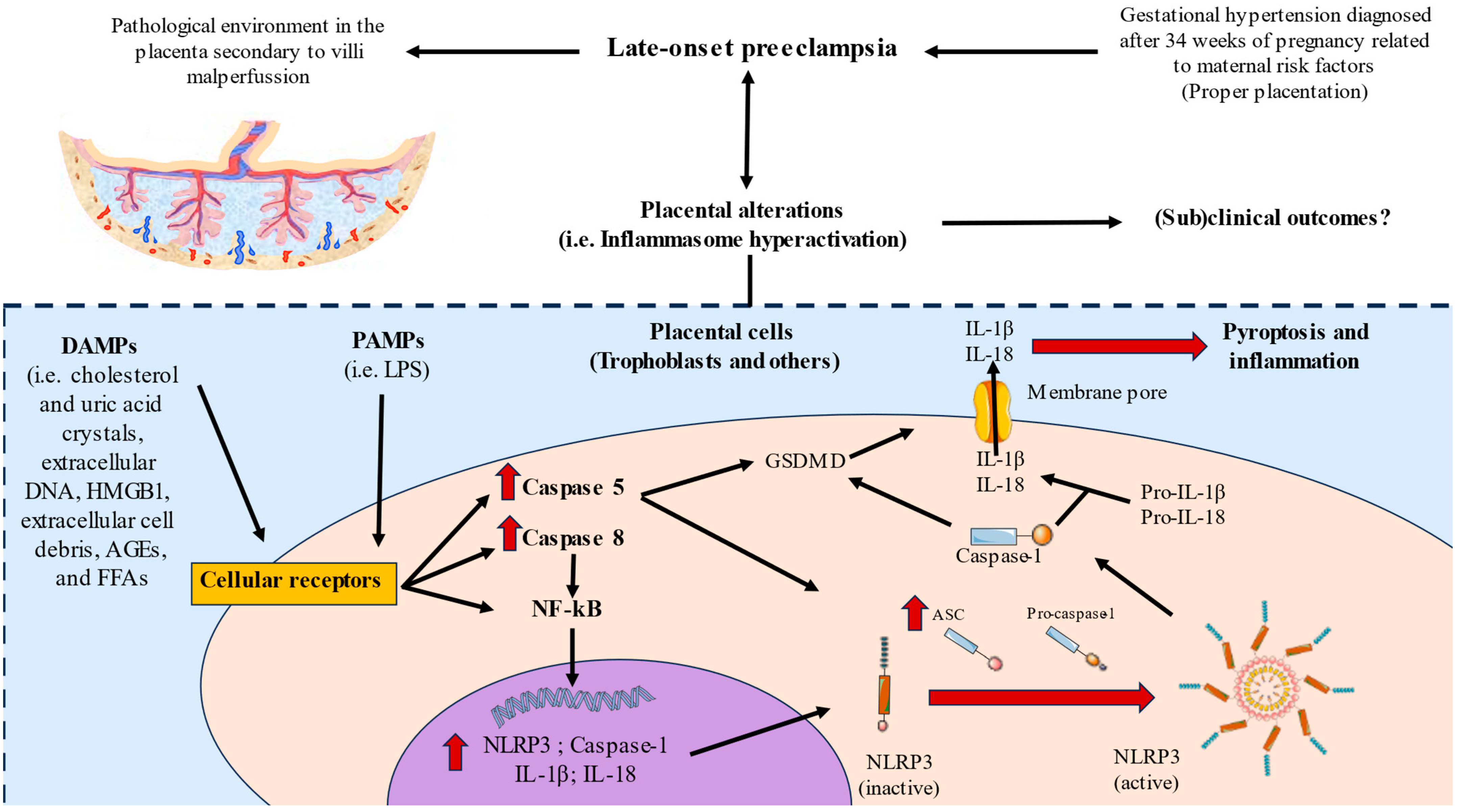 Biomolecules 13 01644 g008