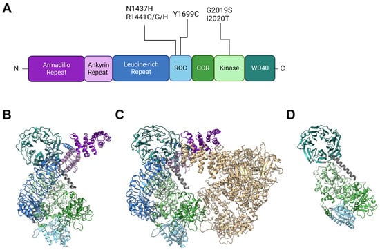 Biomolecules 13 01645 g001