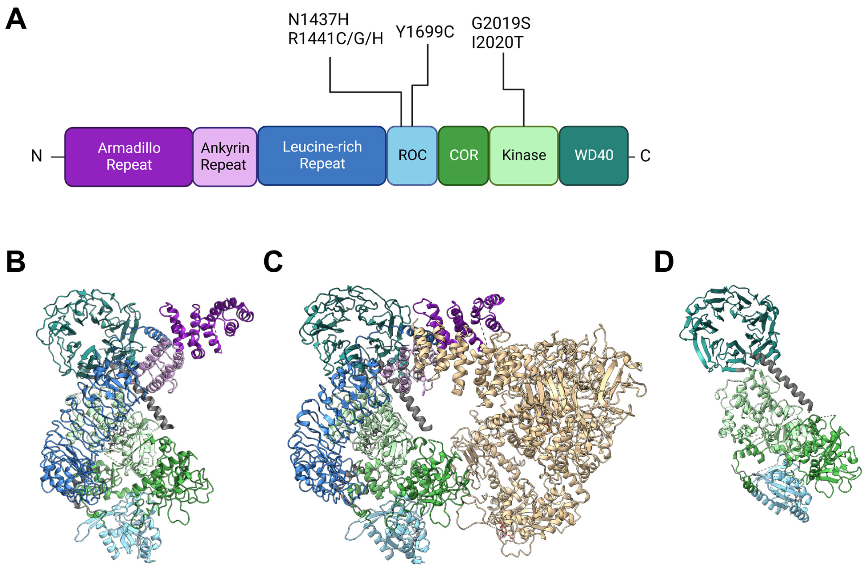 Biomolecules 13 01645 g001