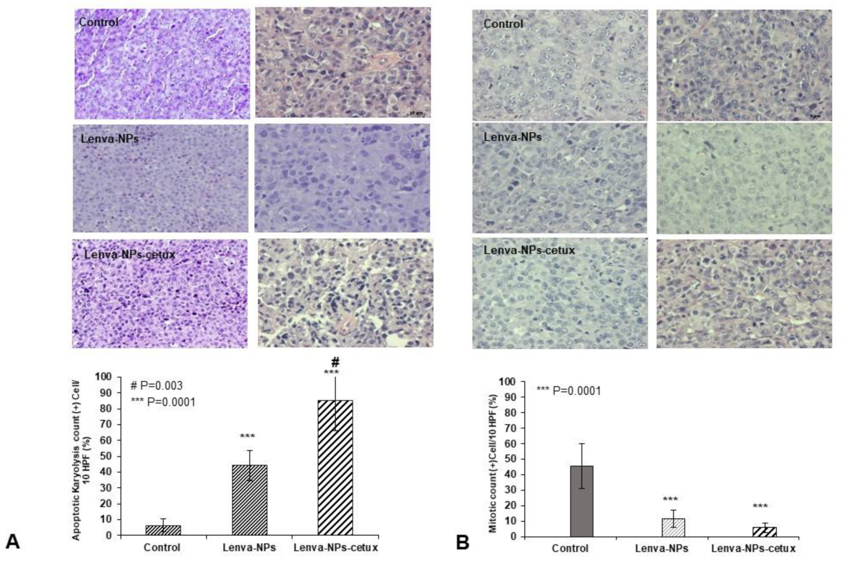 Biomolecules 13 01647 g009