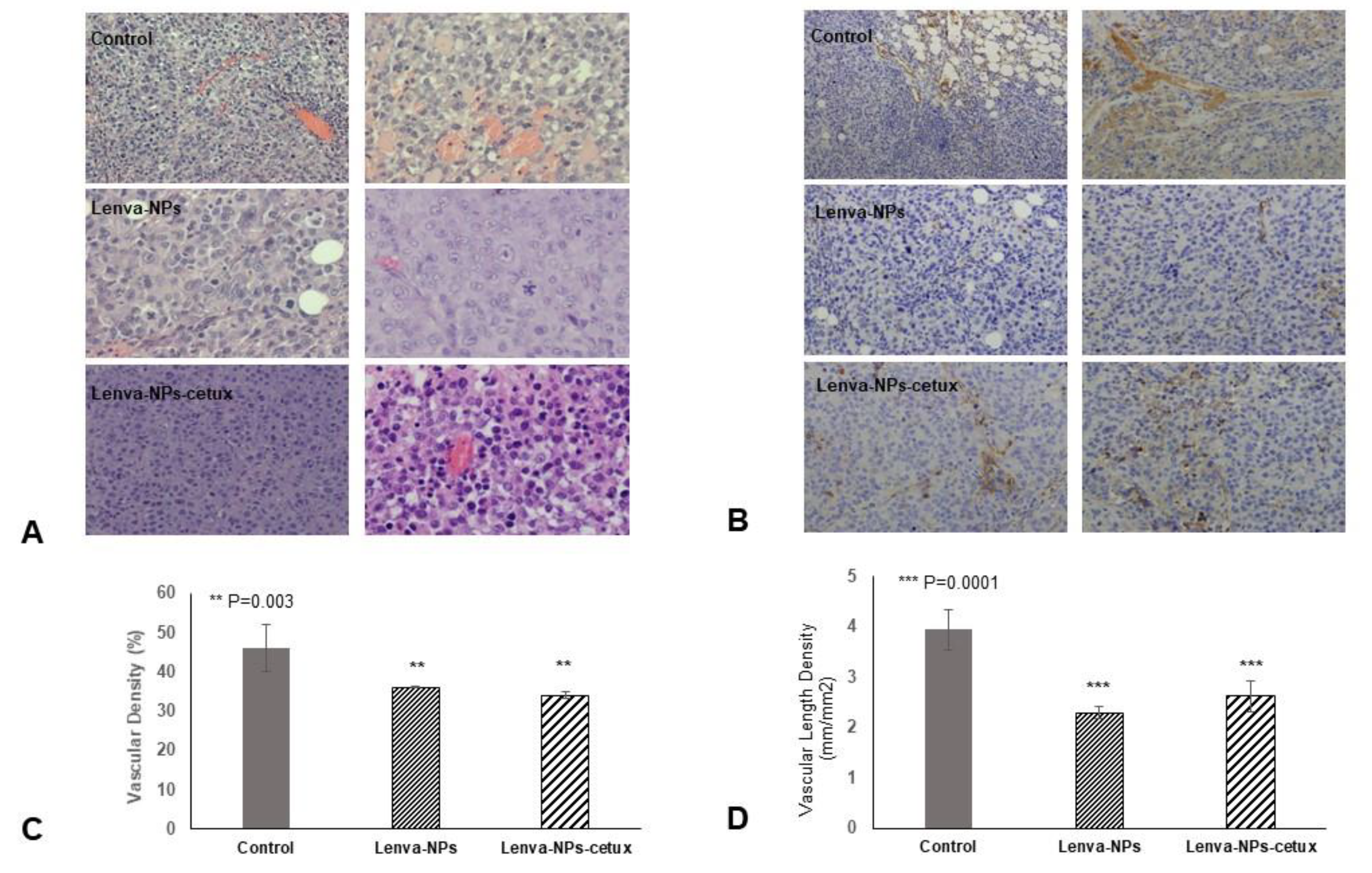 Biomolecules 13 01647 g011