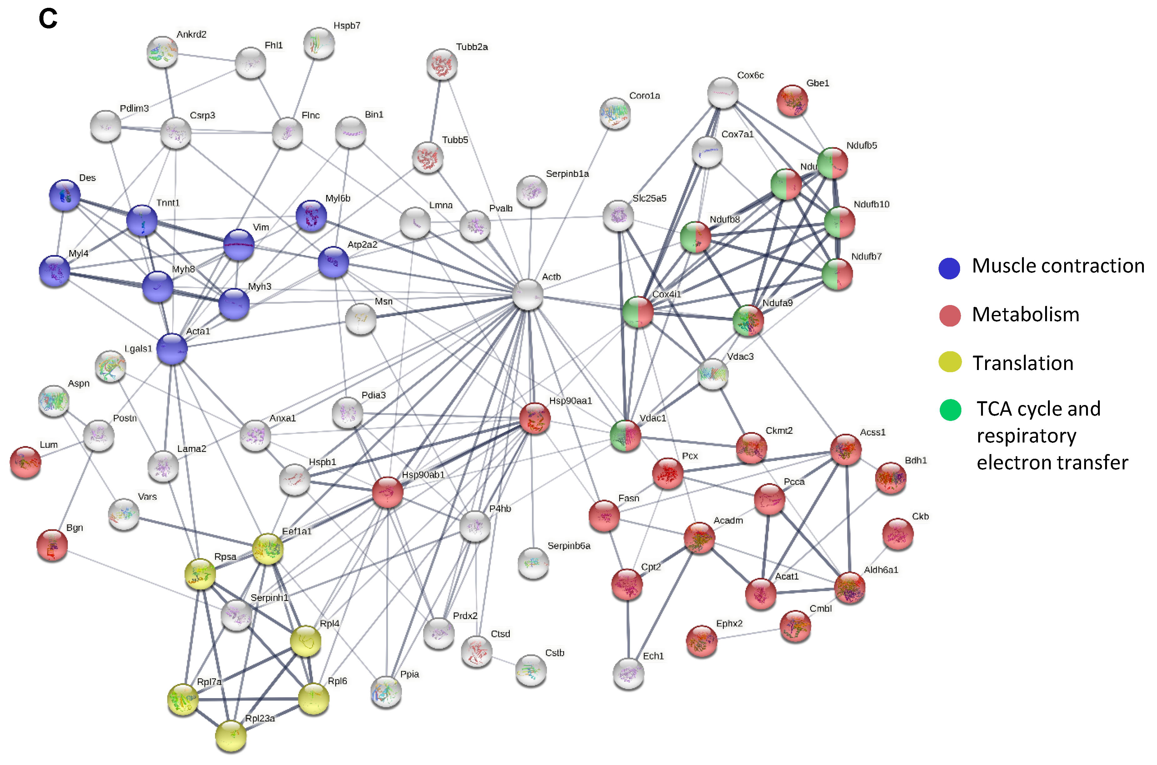 Biomolecules 13 01648 g001b Biomolecules 13 01648 g001b
