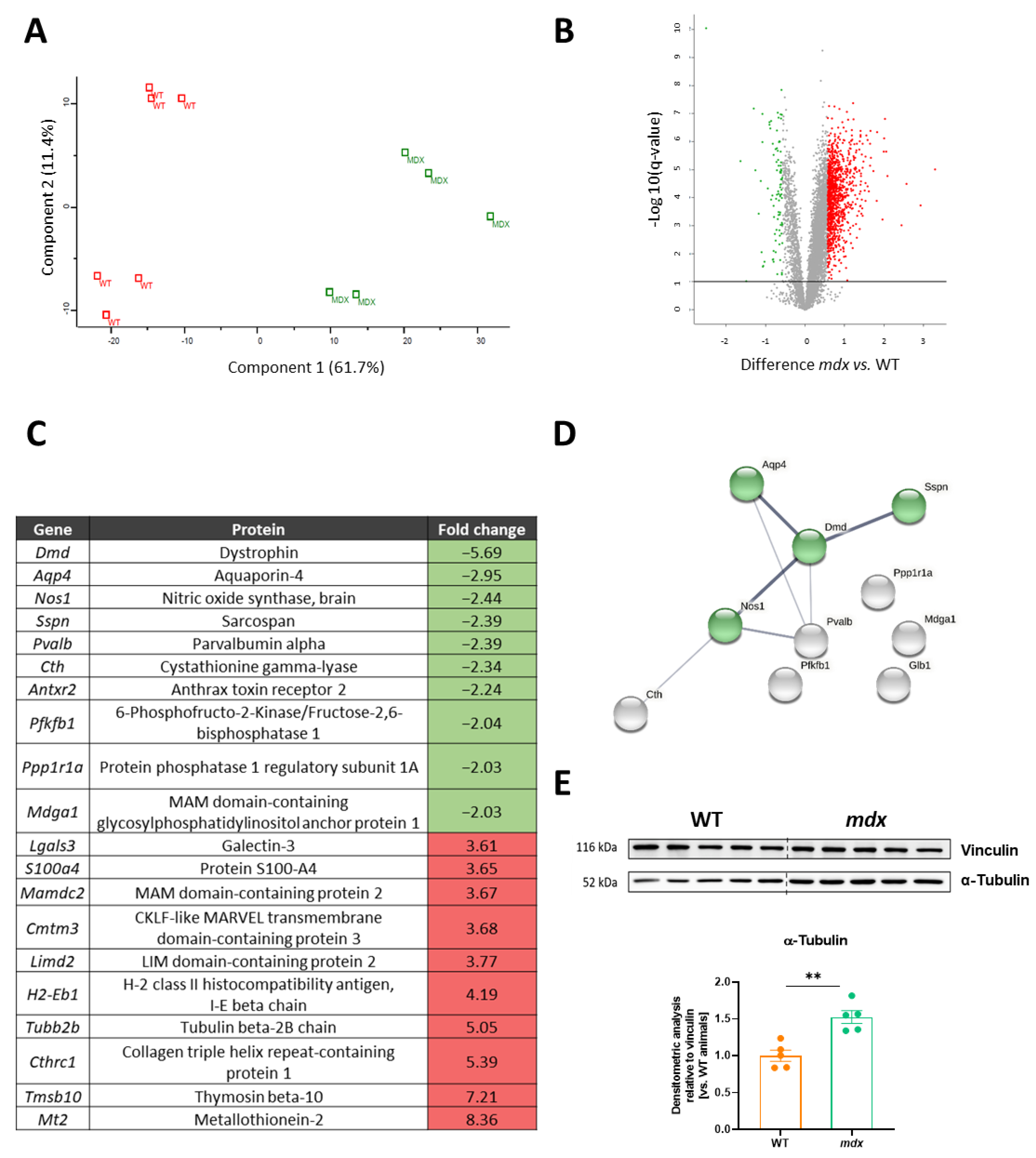 Biomolecules 13 01648 g002 Biomolecules 13 01648 g002