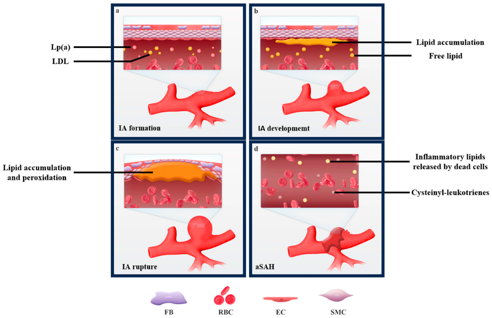 Biomolecules 13 01652 g001