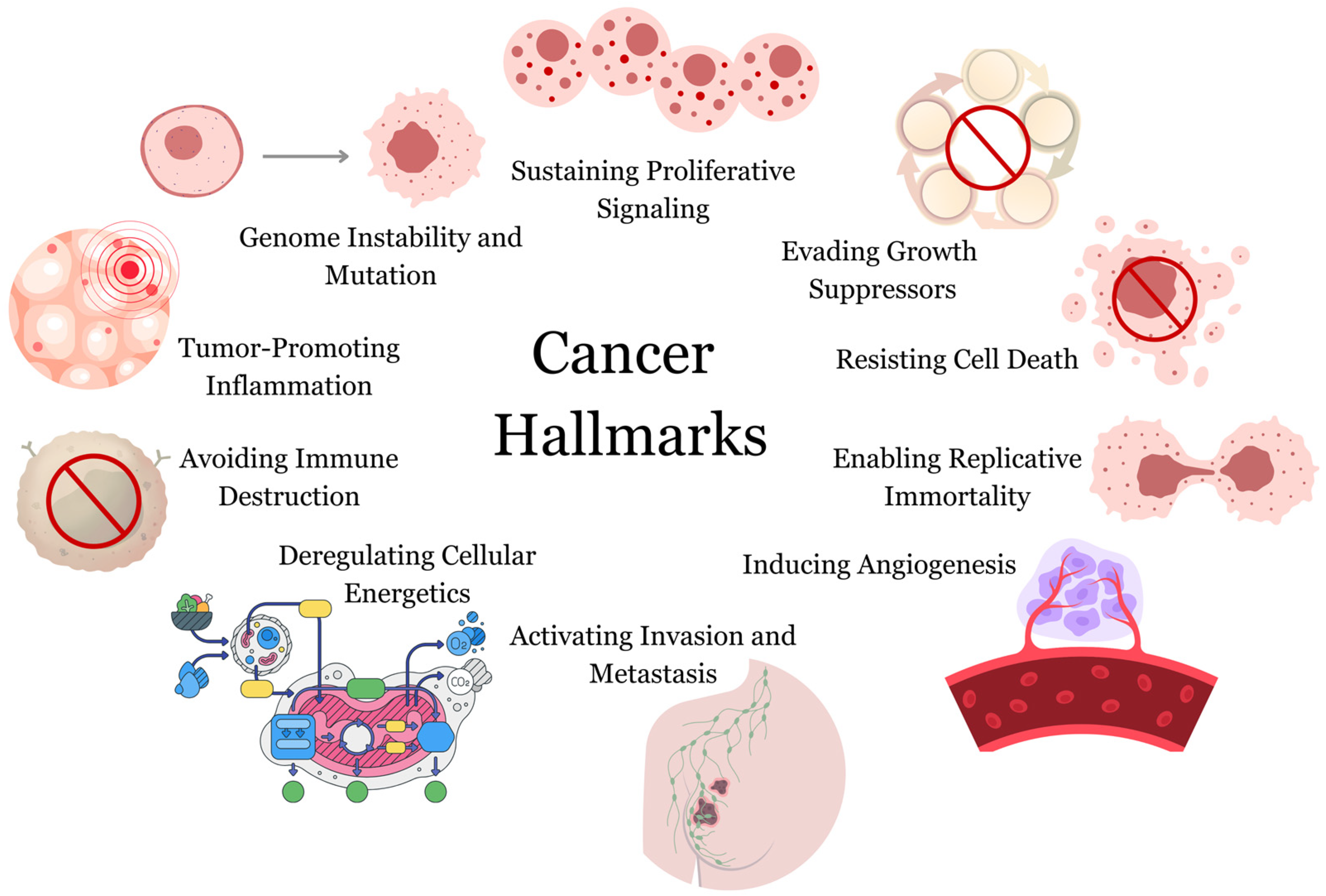 Biomolecules 13 01653 g001